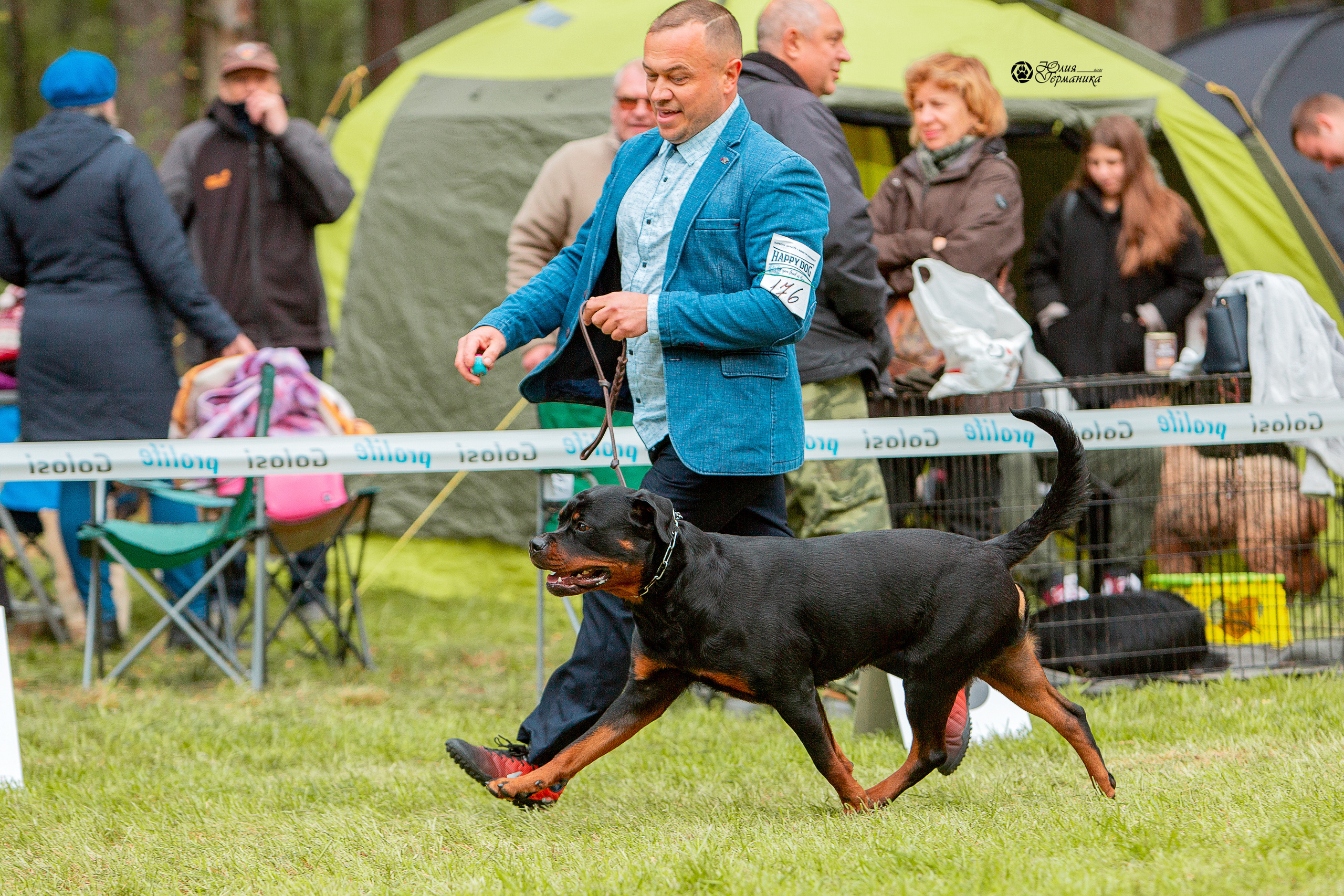 Псков 2xСАСIB 18-19 сентября 2021. Фотограф-анималист Юлия Германика
