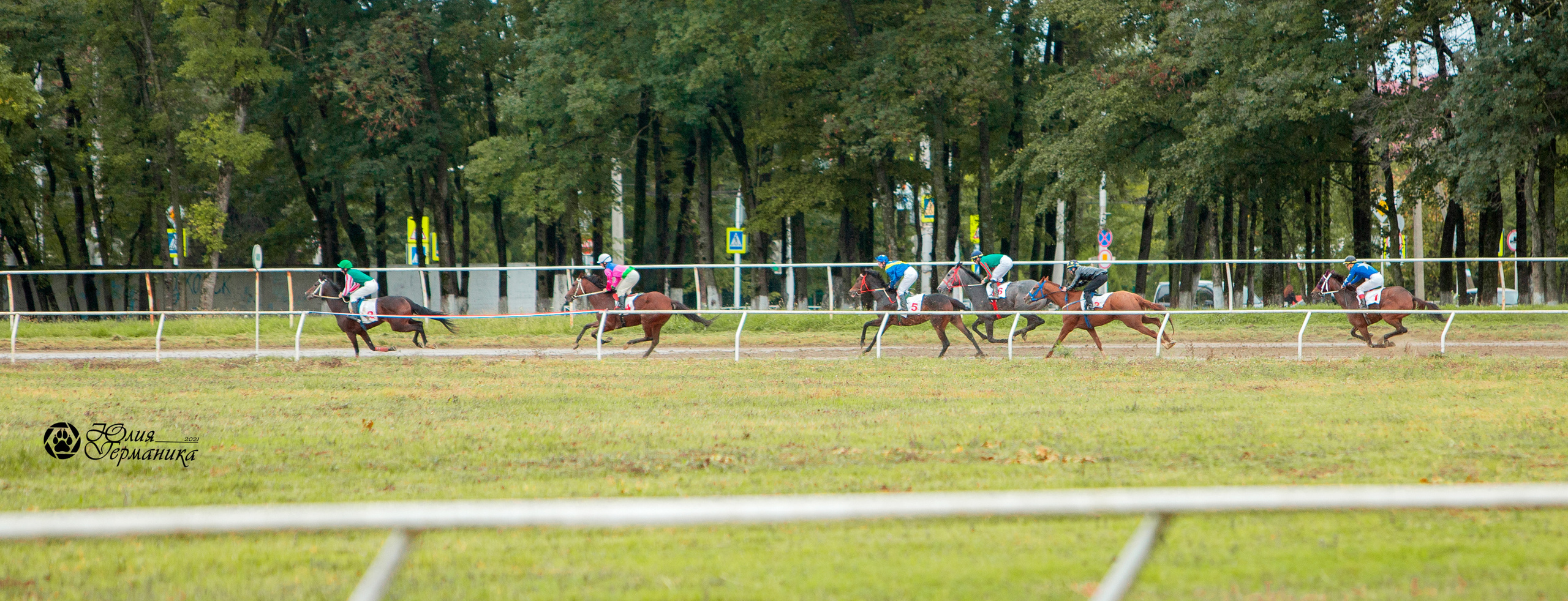 Съёмки с лошадьми. Фотограф-анималист Юлия Германика