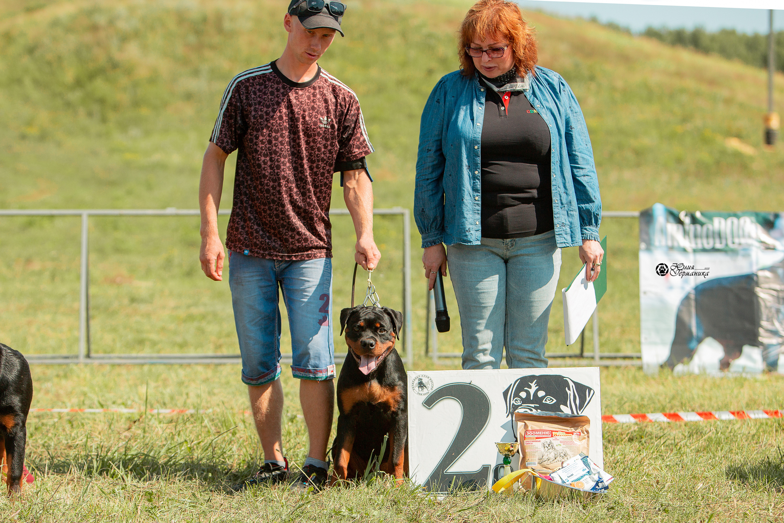 Рязань,Ховрино 14-15 августа 2021 моно ротвейлеров. Фотограф-анималист Юлия Германика
