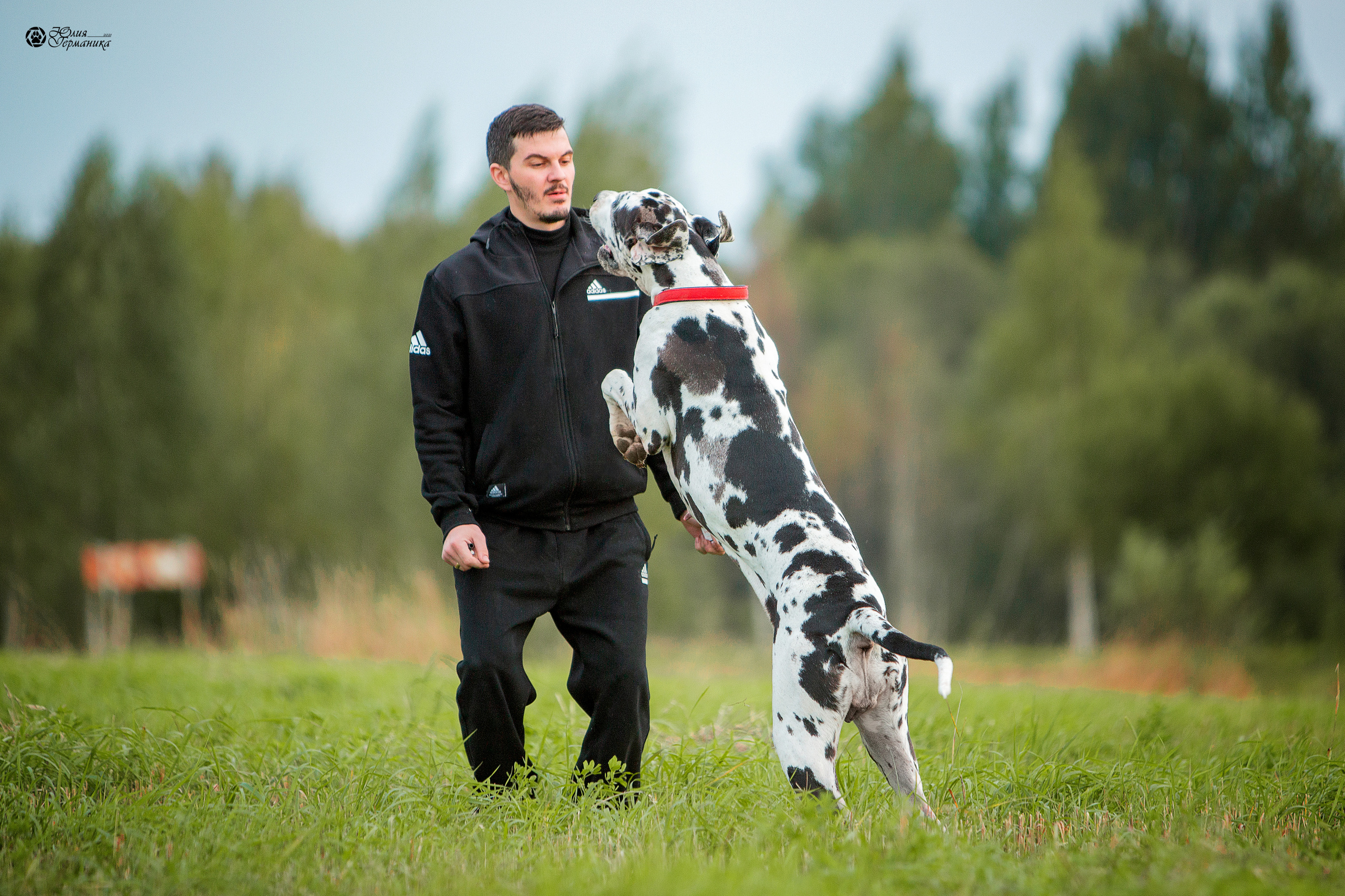 Свободная съемка. Фотограф-анималист Юлия Германика