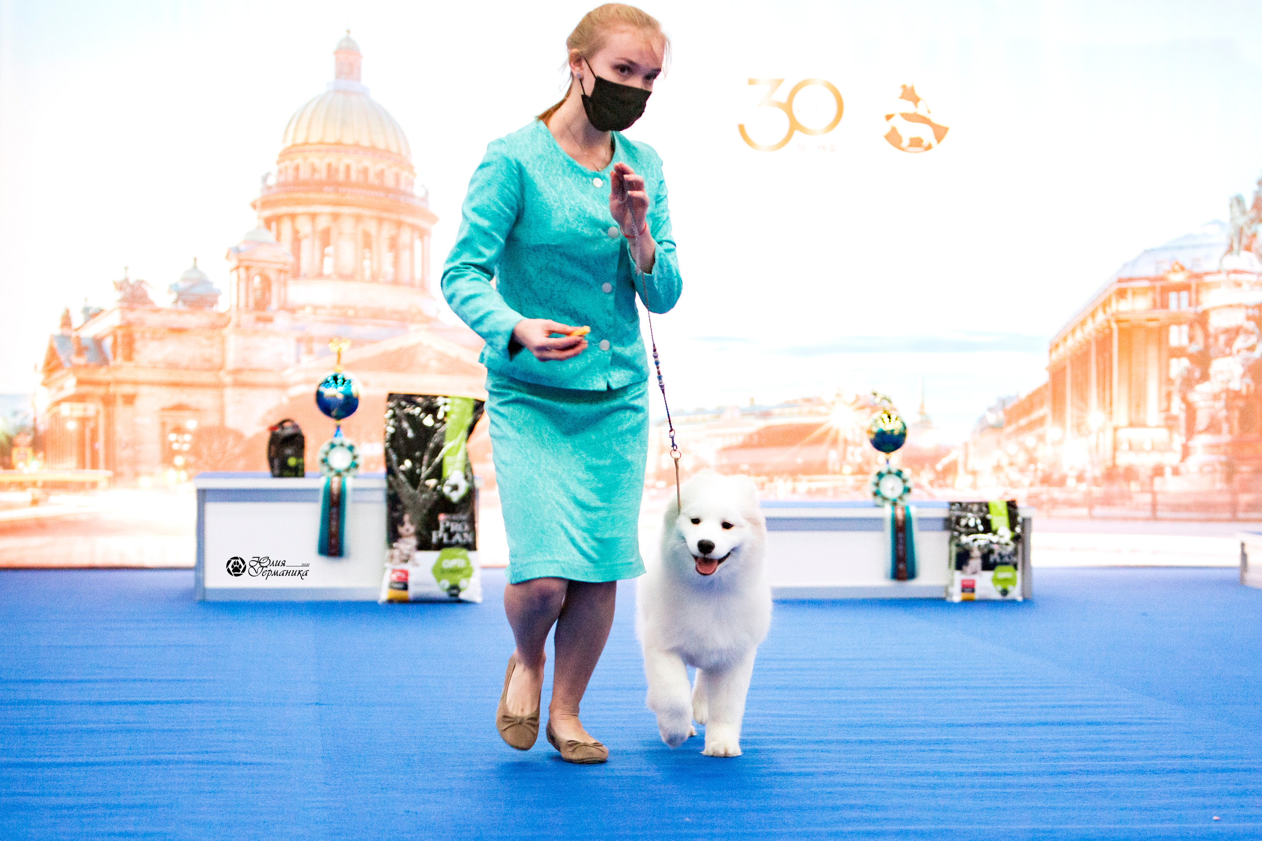 Санкт-Петербург 3хCACIB 10-12 декабря 2021. Фотограф-анималист Юлия Германика