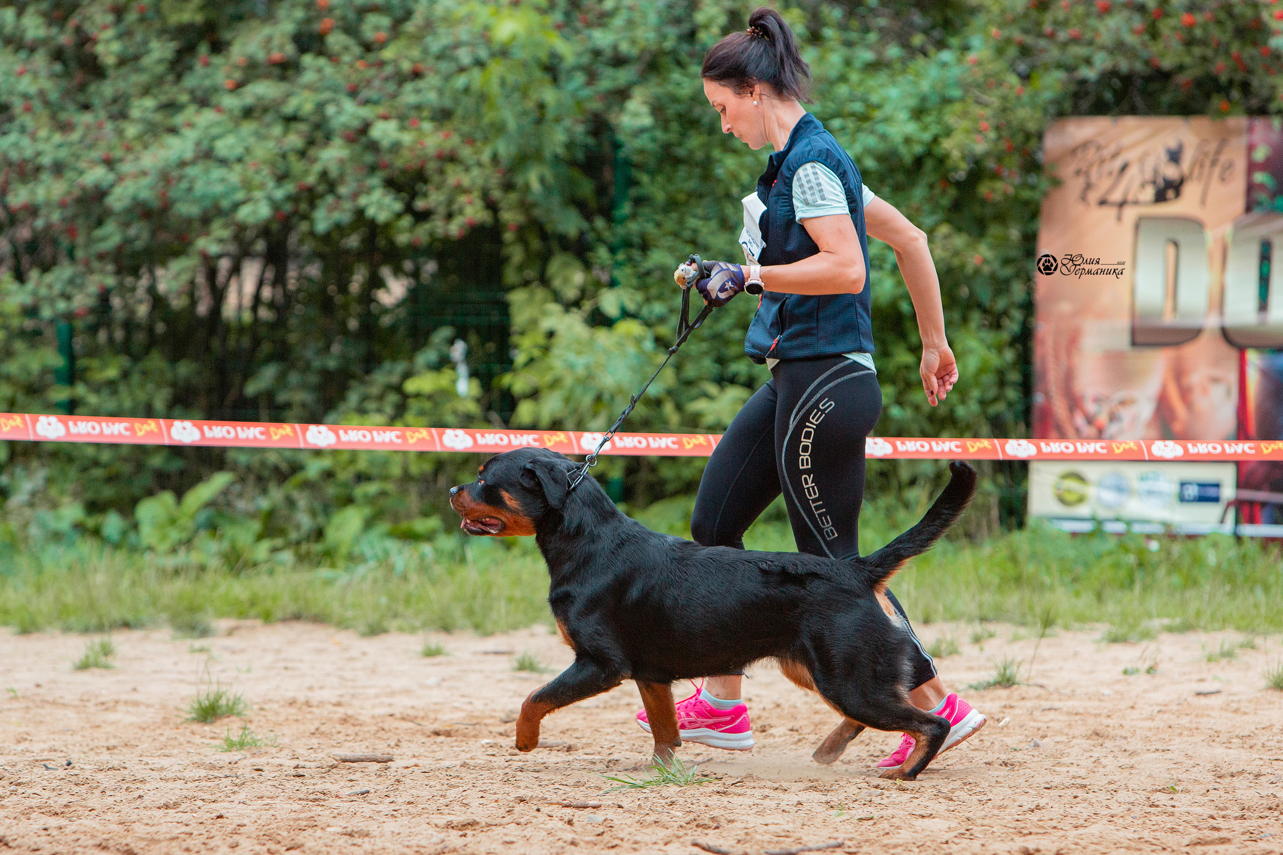 Рязань,Ховрино 14-15 августа 2021 моно ротвейлеров. Фотограф-анималист Юлия Германика