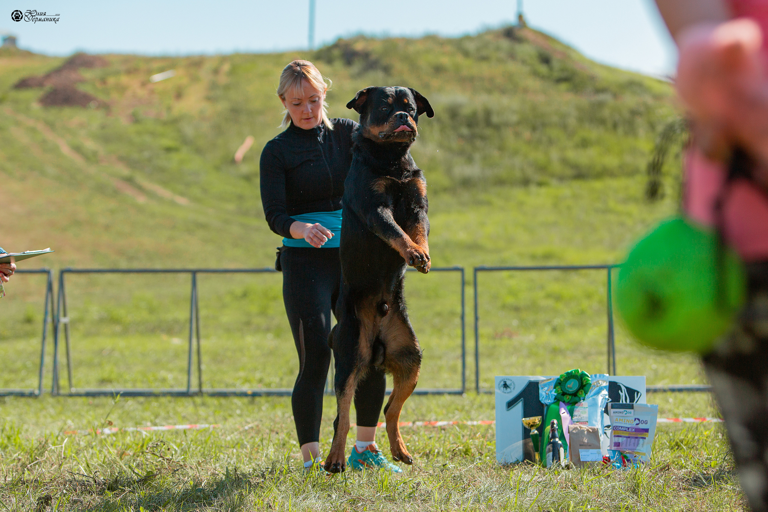 Рязань,Ховрино 14-15 августа 2021 моно ротвейлеров. Фотограф-анималист Юлия Германика
