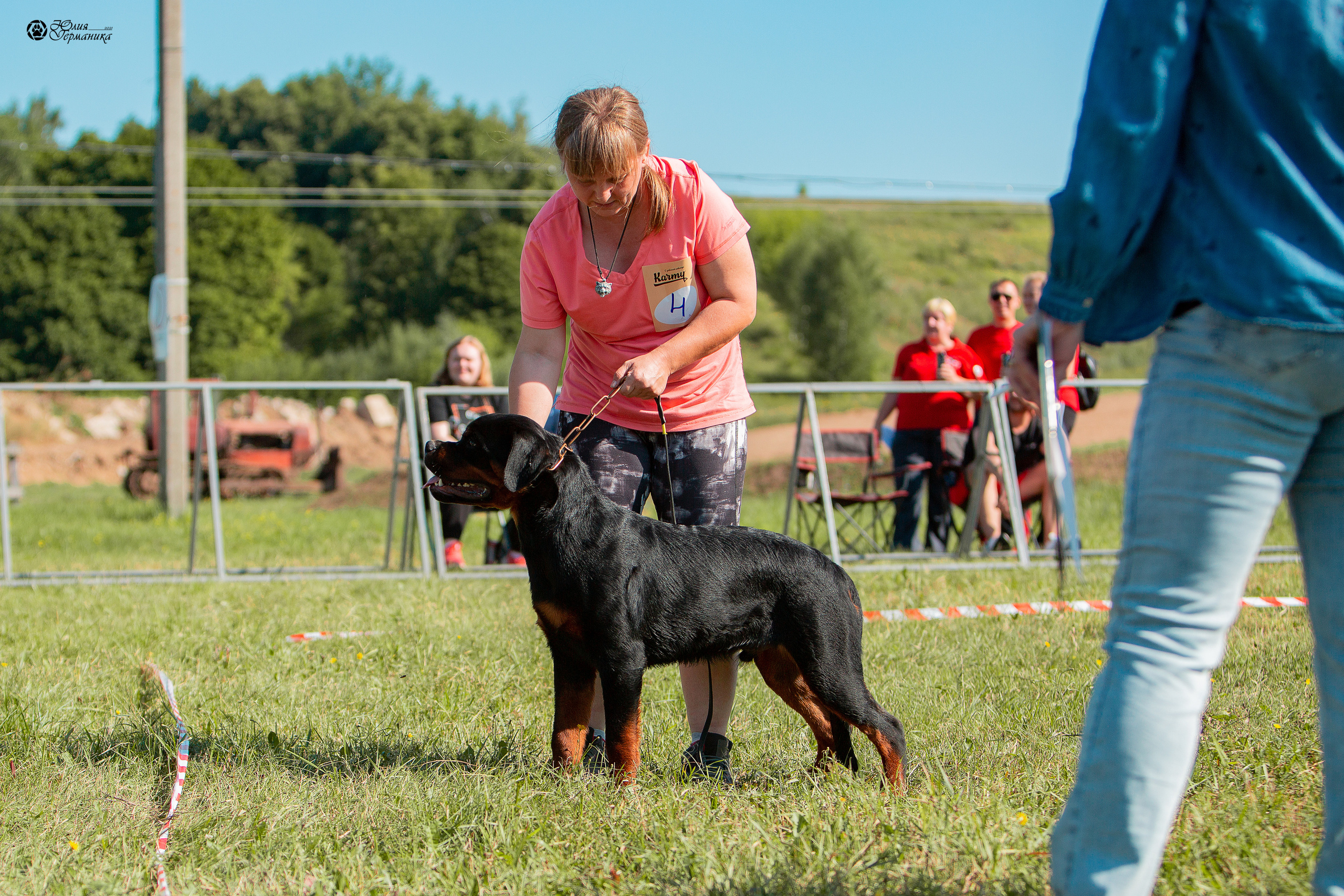 Рязань,Ховрино 14-15 августа 2021 моно ротвейлеров. Фотограф-анималист Юлия Германика