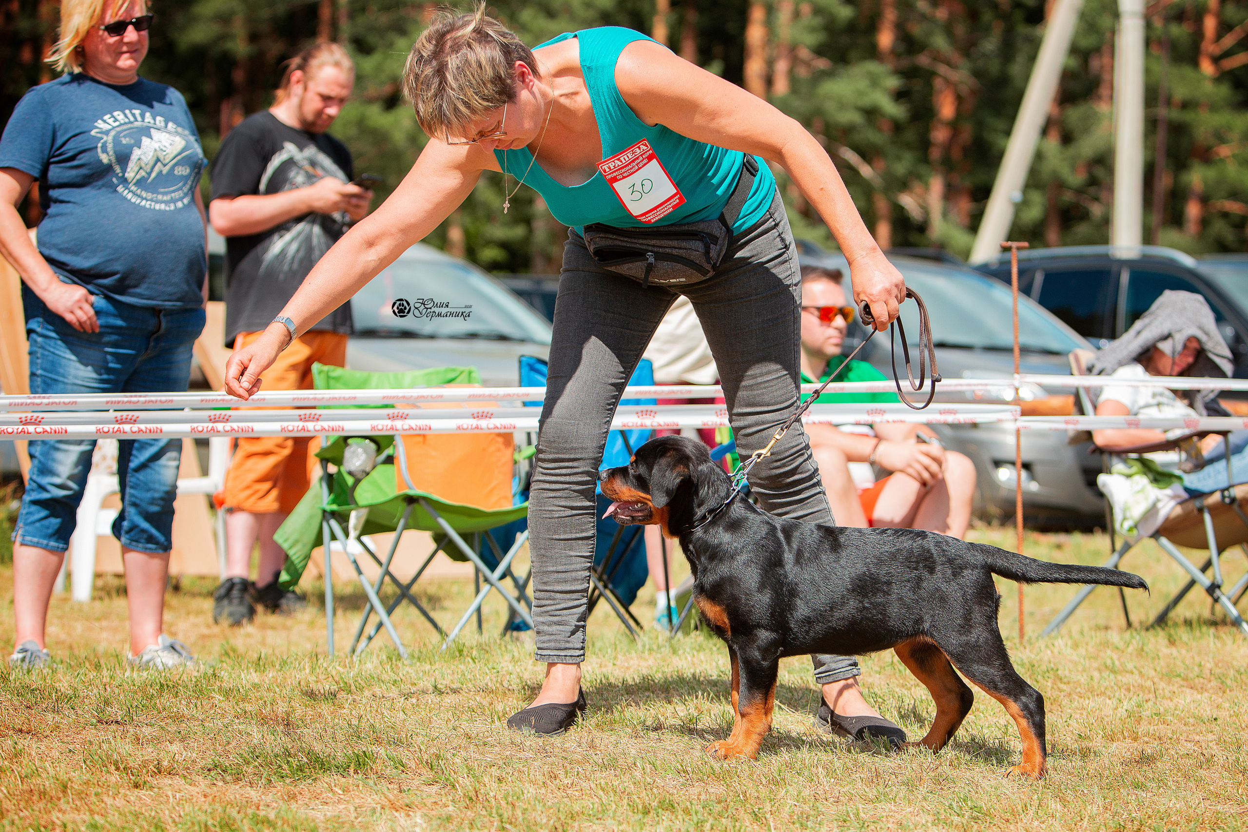 Тверь моно ротвейлеров 3-4 июля 2021. Фотограф-анималист Юлия Германика