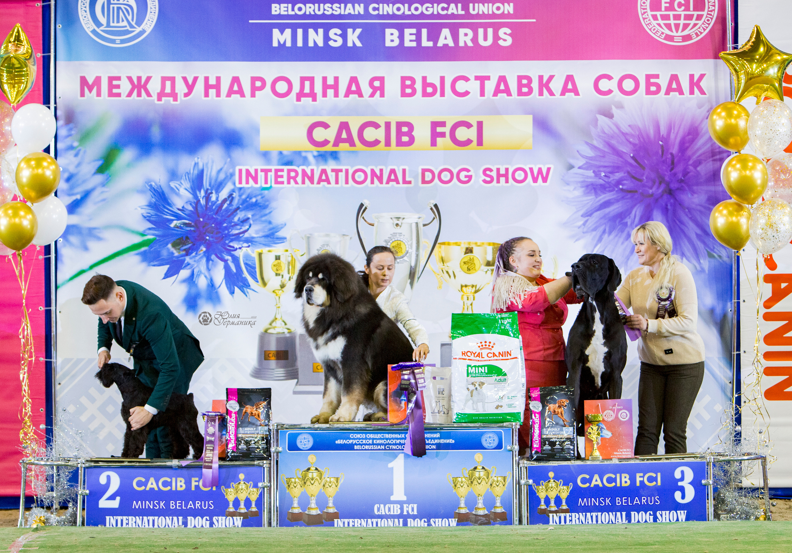 Минск 2хCACIB 27-28 ноября 2021. Фотограф-анималист Юлия Германика