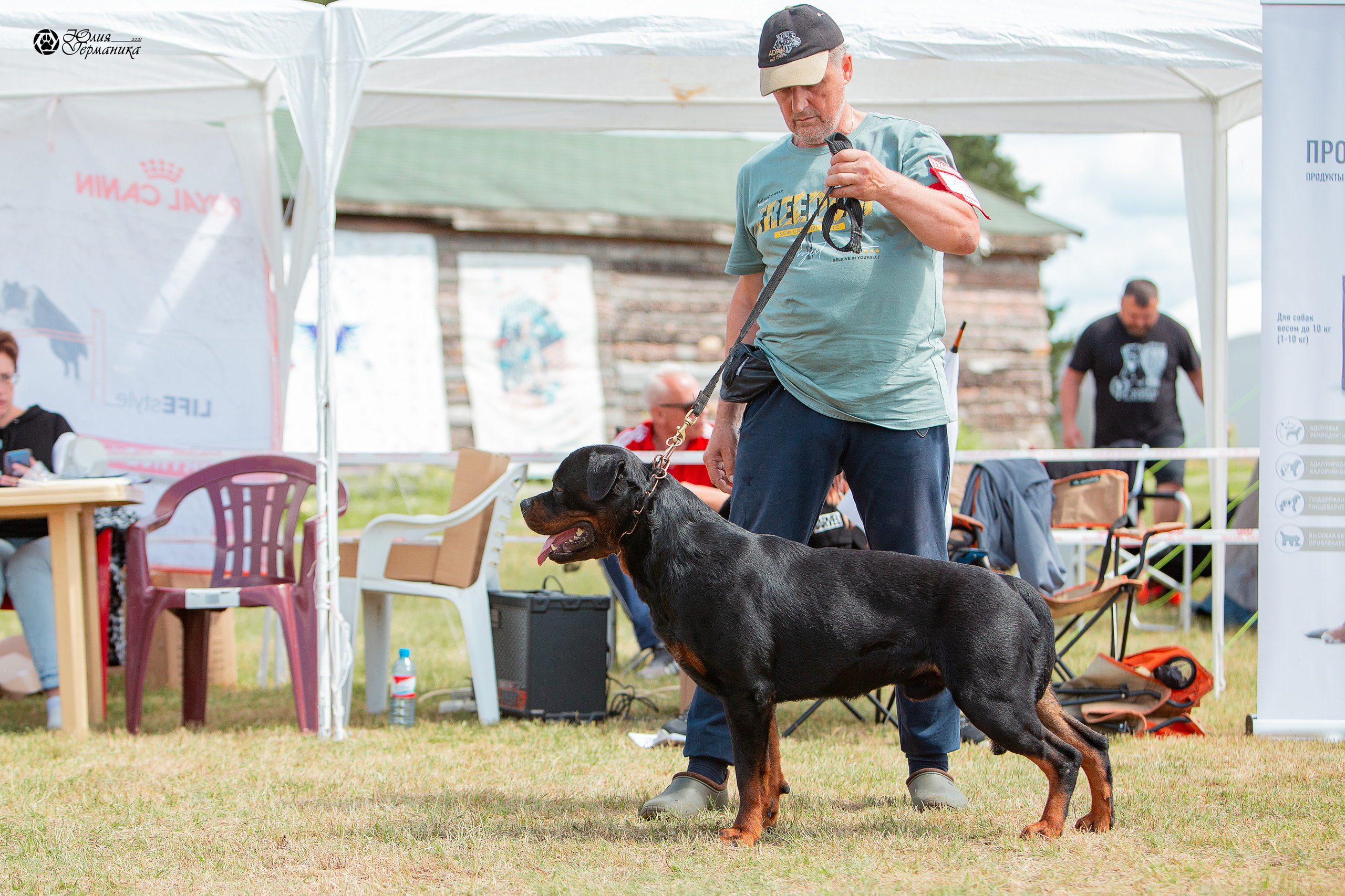 Тверь моно ротвейлеров 3-4 июля 2021. Фотограф-анималист Юлия Германика