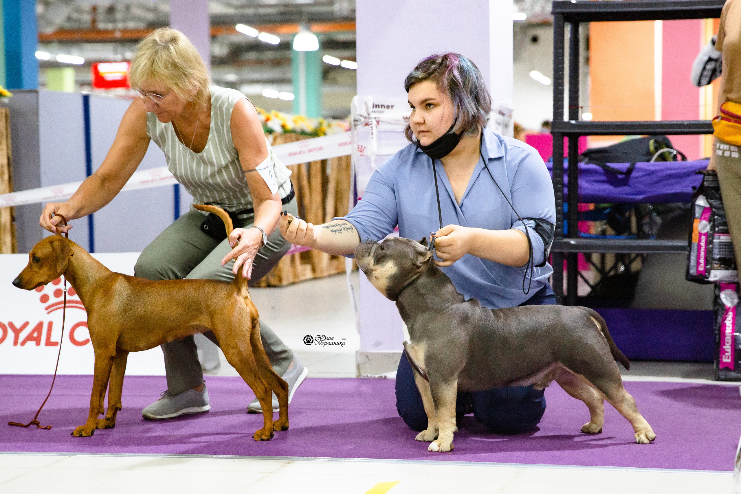 Чайна-Таун 2021. Фотограф-анималист Юлия Германика