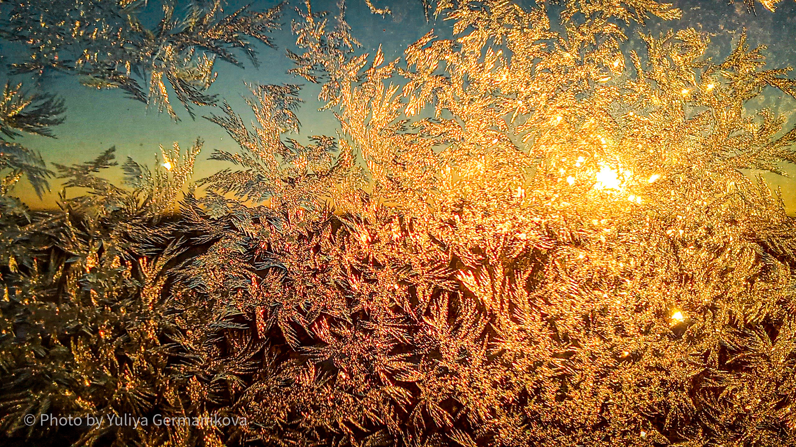 Разные фото на телефон.Города,природа. Фотограф-анималист Юлия Германика