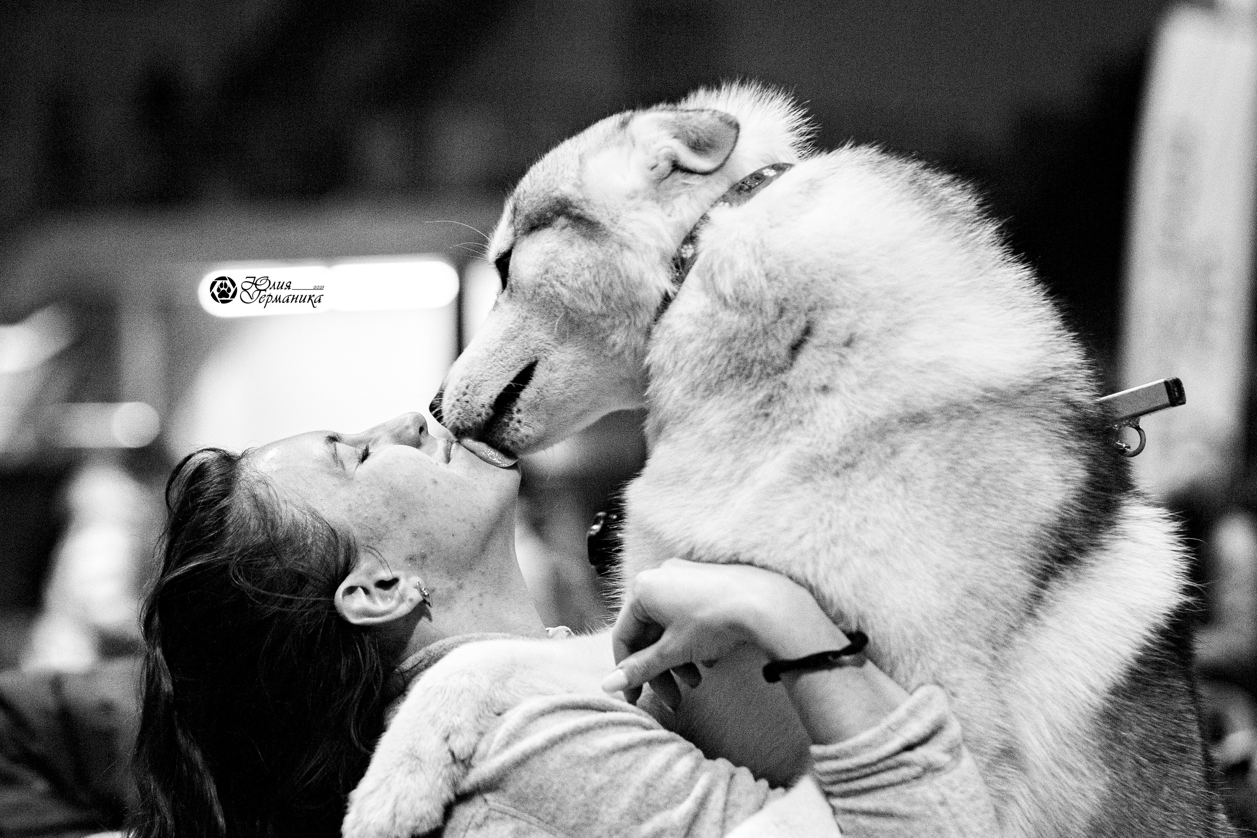Минск 2хCACIB 27-28 ноября 2021. Фотограф-анималист Юлия Германика