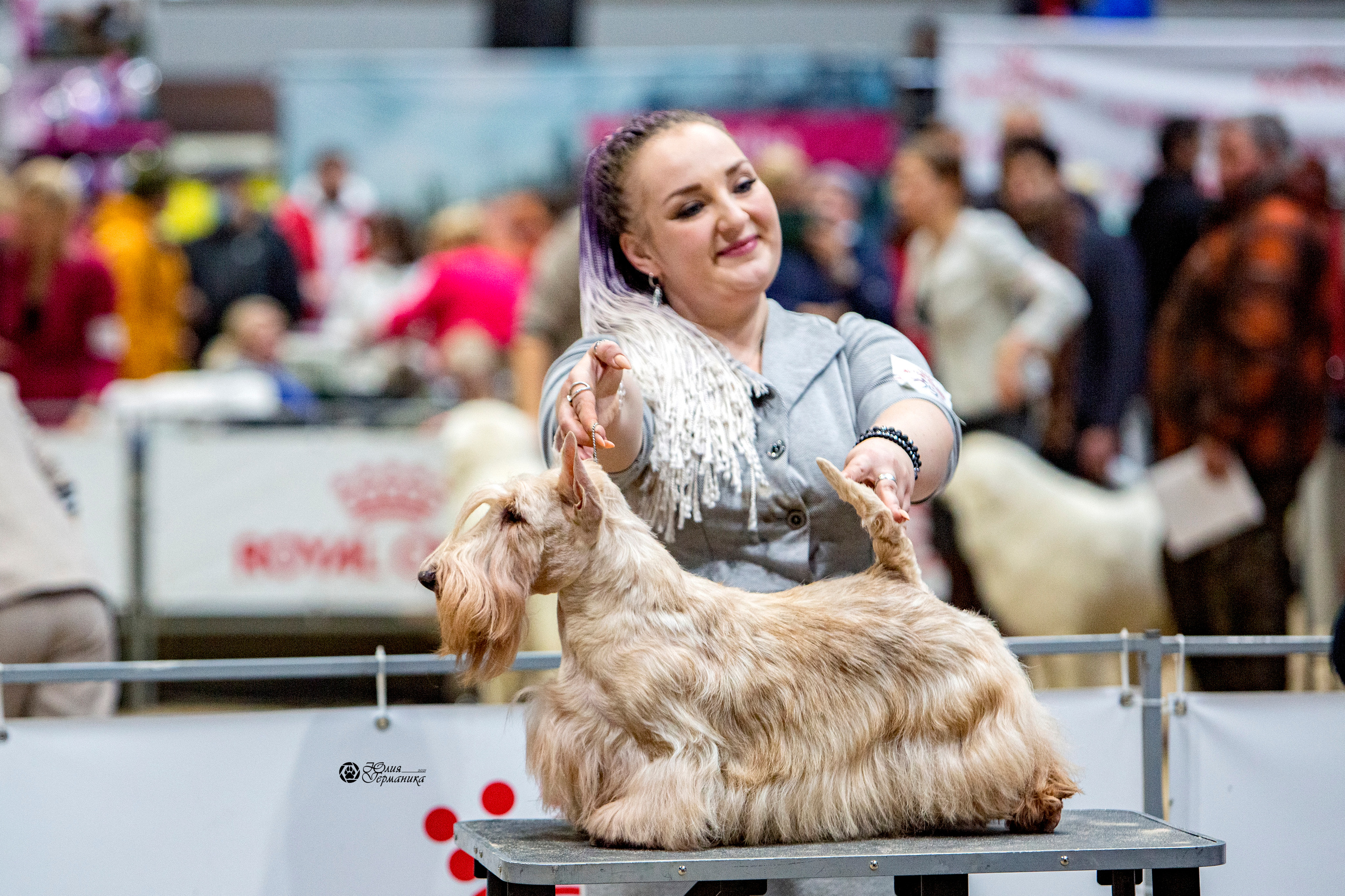 Минск 2хCACIB 27-28 ноября 2021. Фотограф-анималист Юлия Германика