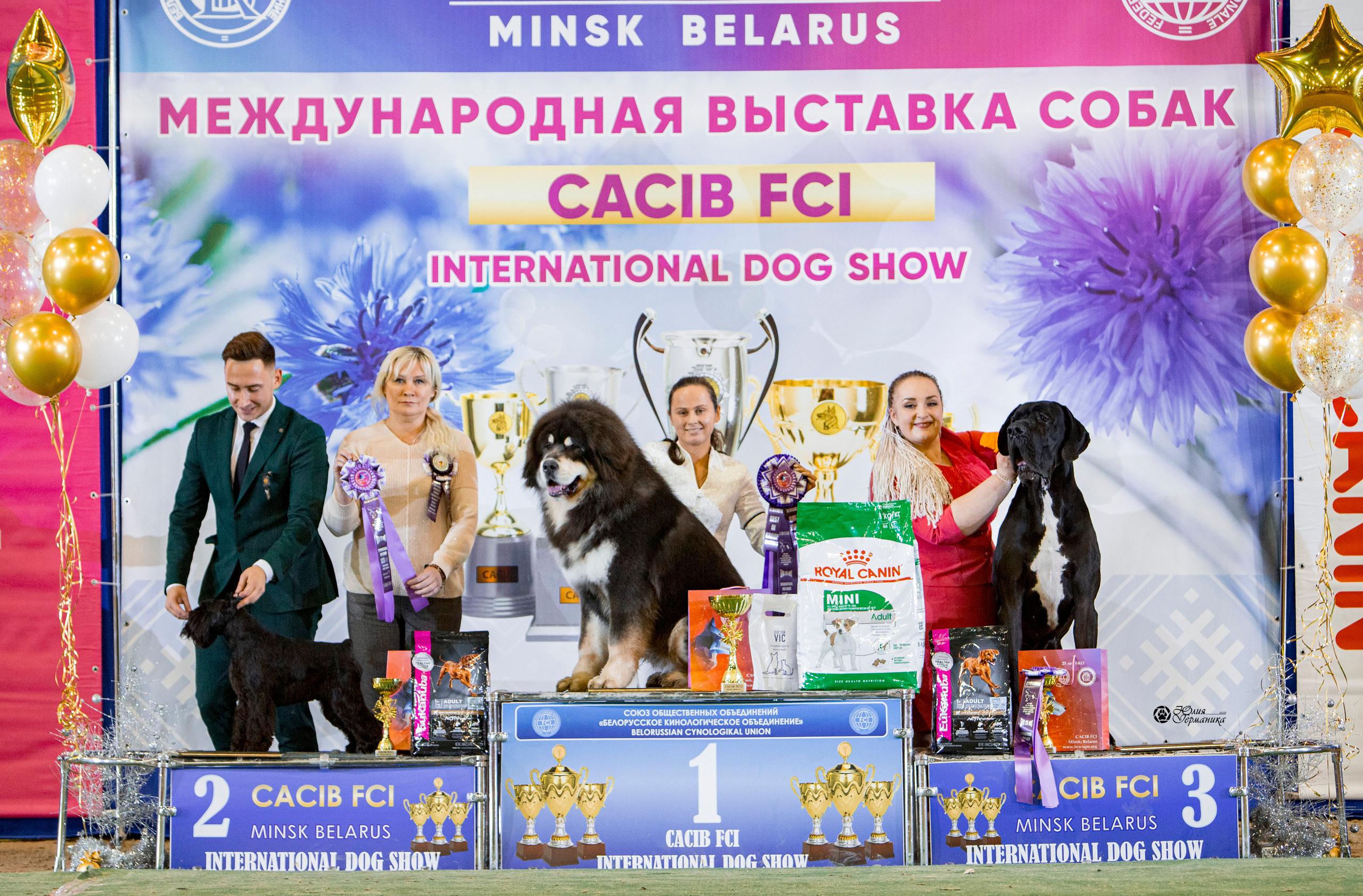 Минск 2хCACIB 27-28 ноября 2021. Фотограф-анималист Юлия Германика