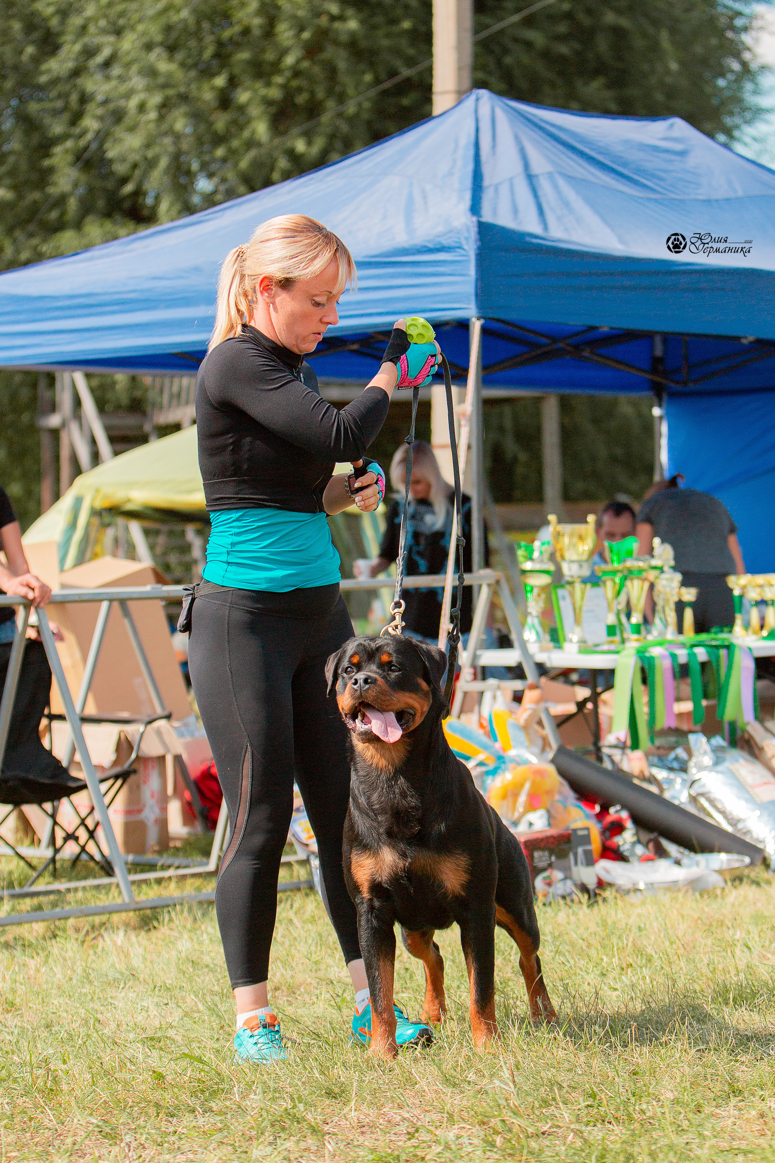 Рязань,Ховрино 14-15 августа 2021 моно ротвейлеров. Фотограф-анималист Юлия Германика
