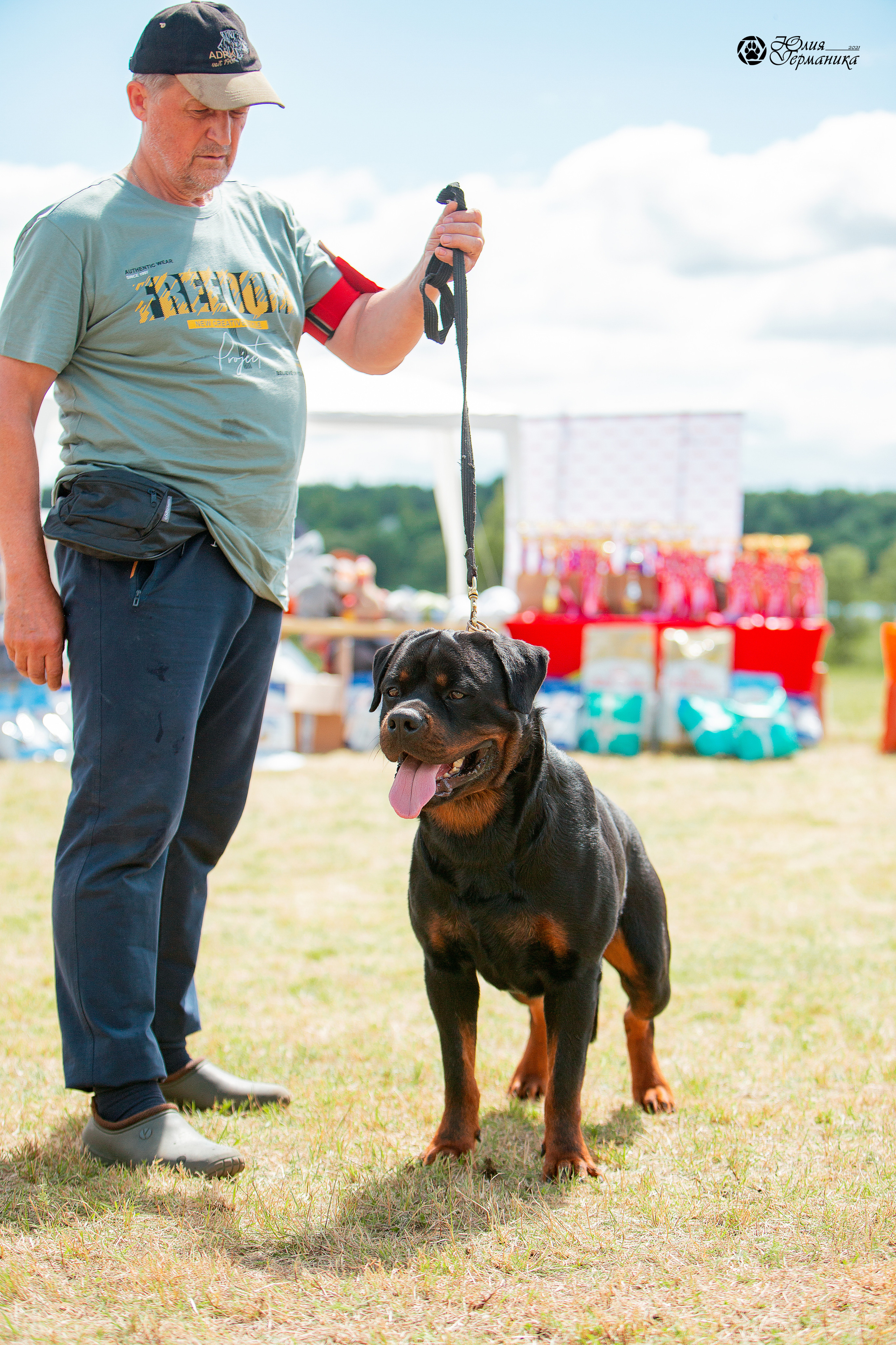 Тверь моно ротвейлеров 3-4 июля 2021. Фотограф-анималист Юлия Германика