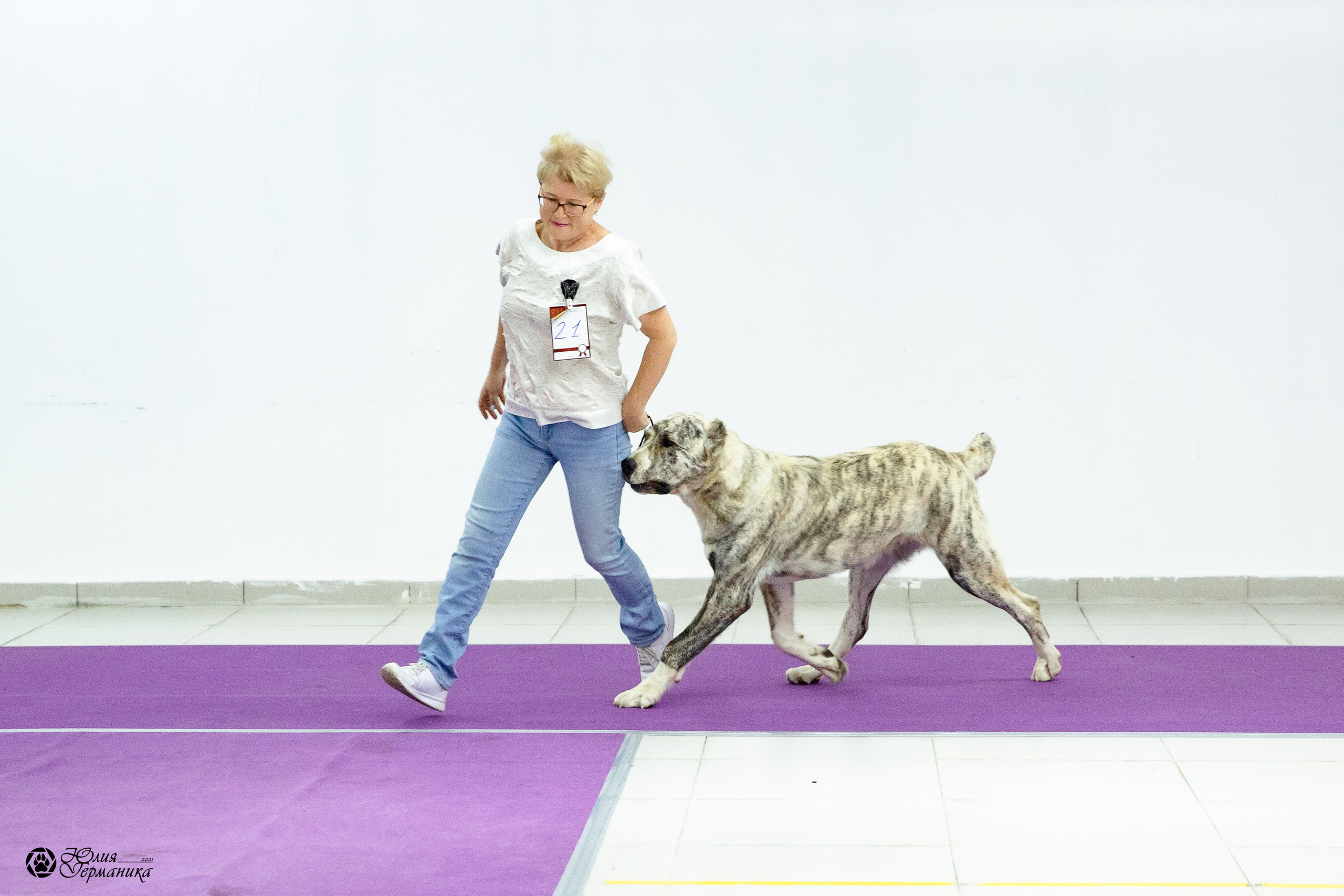 Чайна-Таун 2021. Фотограф-анималист Юлия Германика