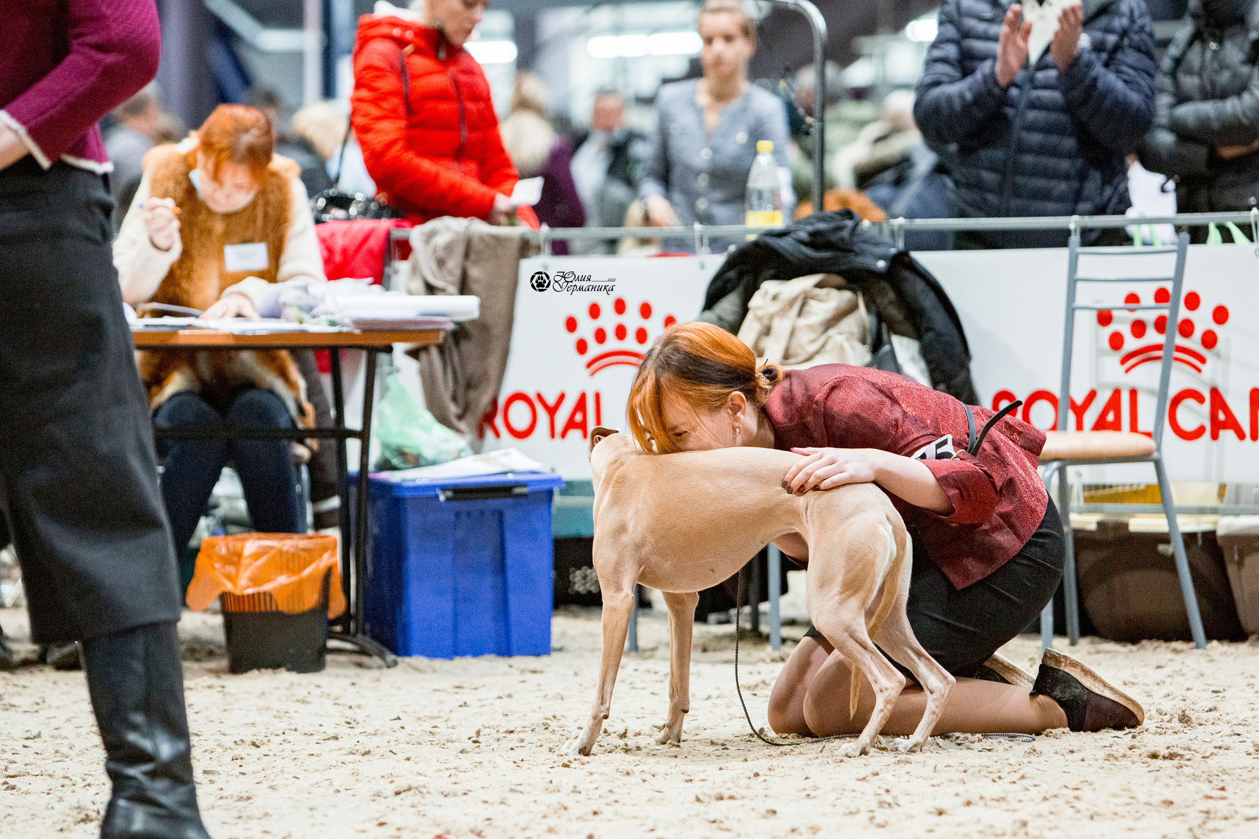 Минск 2хCACIB 27-28 ноября 2021. Фотограф-анималист Юлия Германика