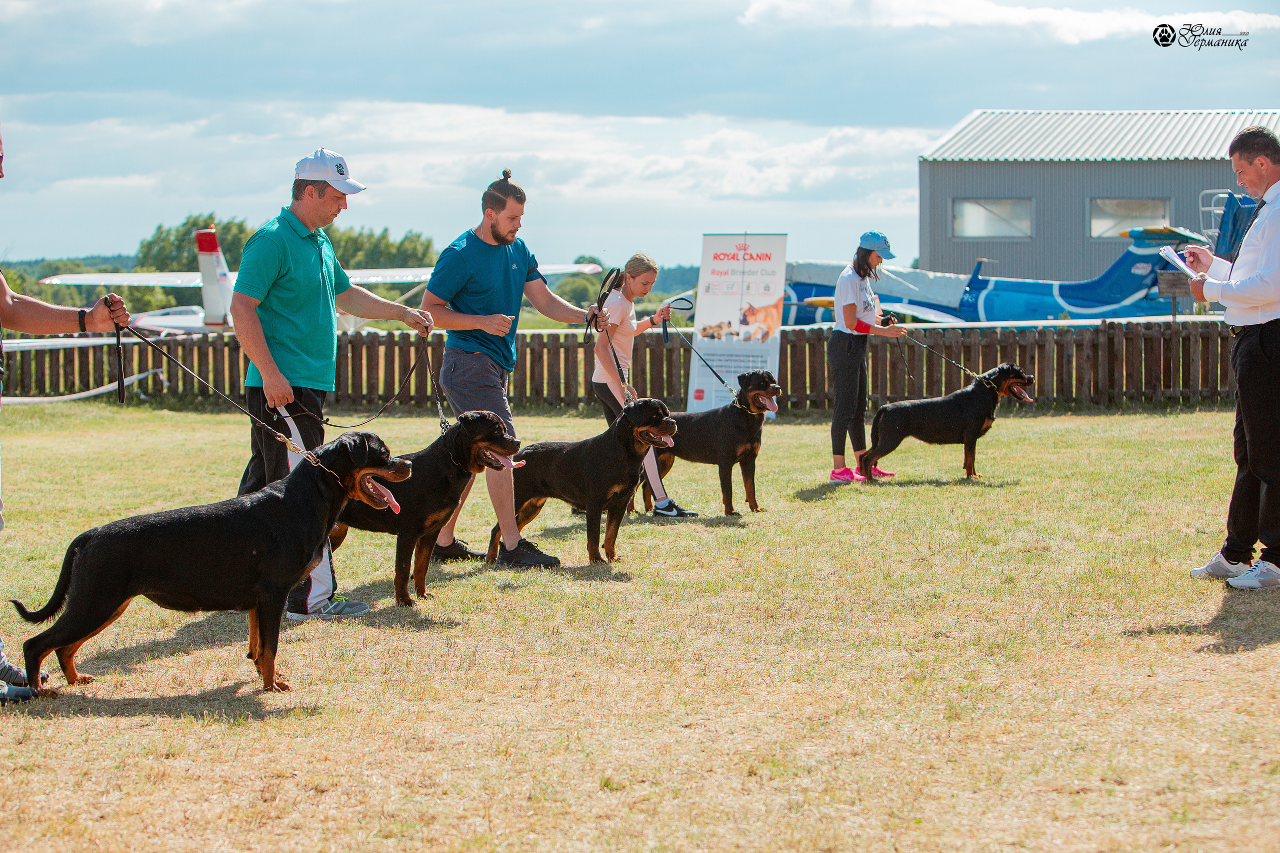 Тверь моно ротвейлеров 3-4 июля 2021. Фотограф-анималист Юлия Германика