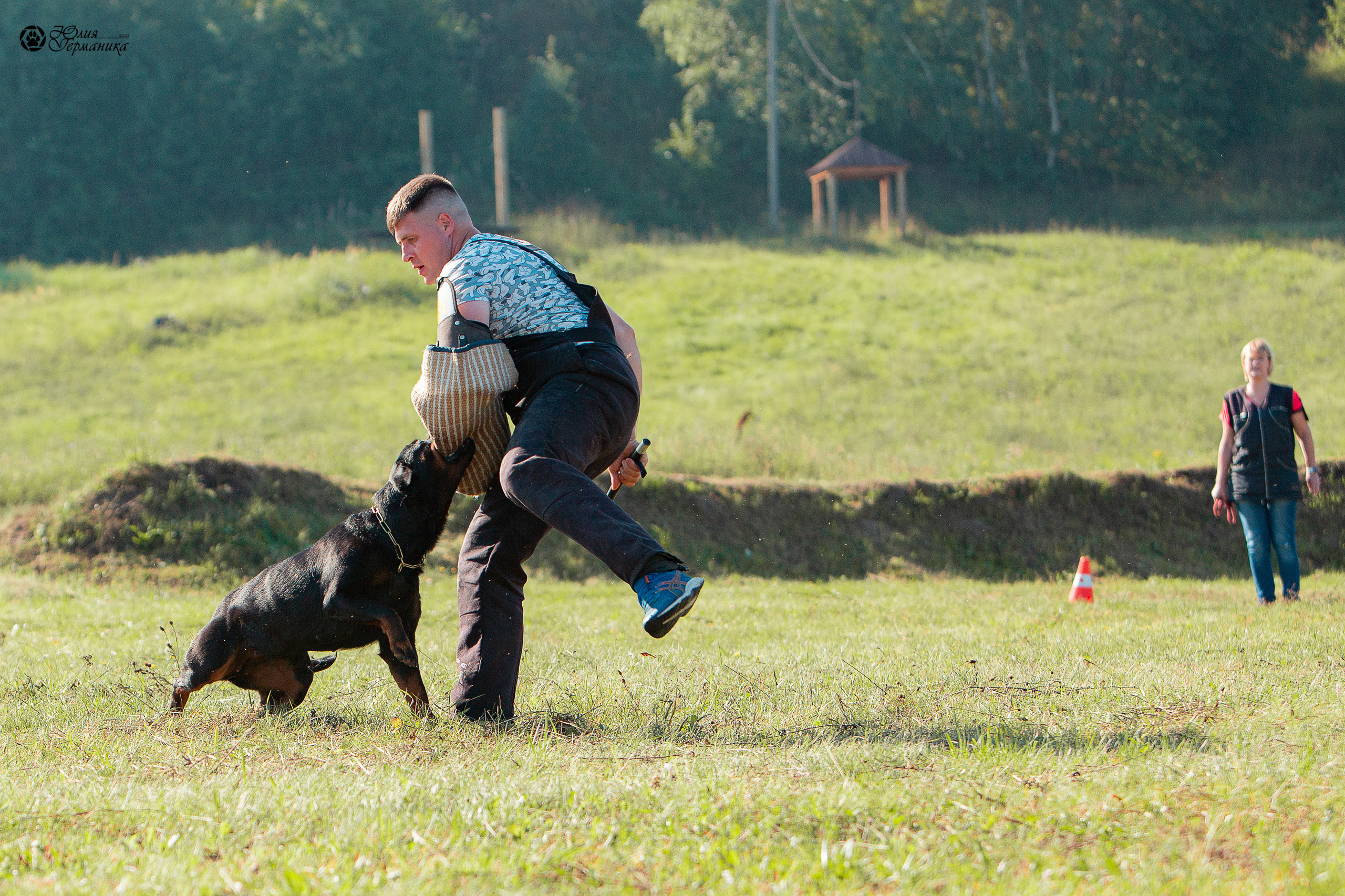Рязань,Ховрино 14-15 августа 2021 моно ротвейлеров. Фотограф-анималист Юлия Германика