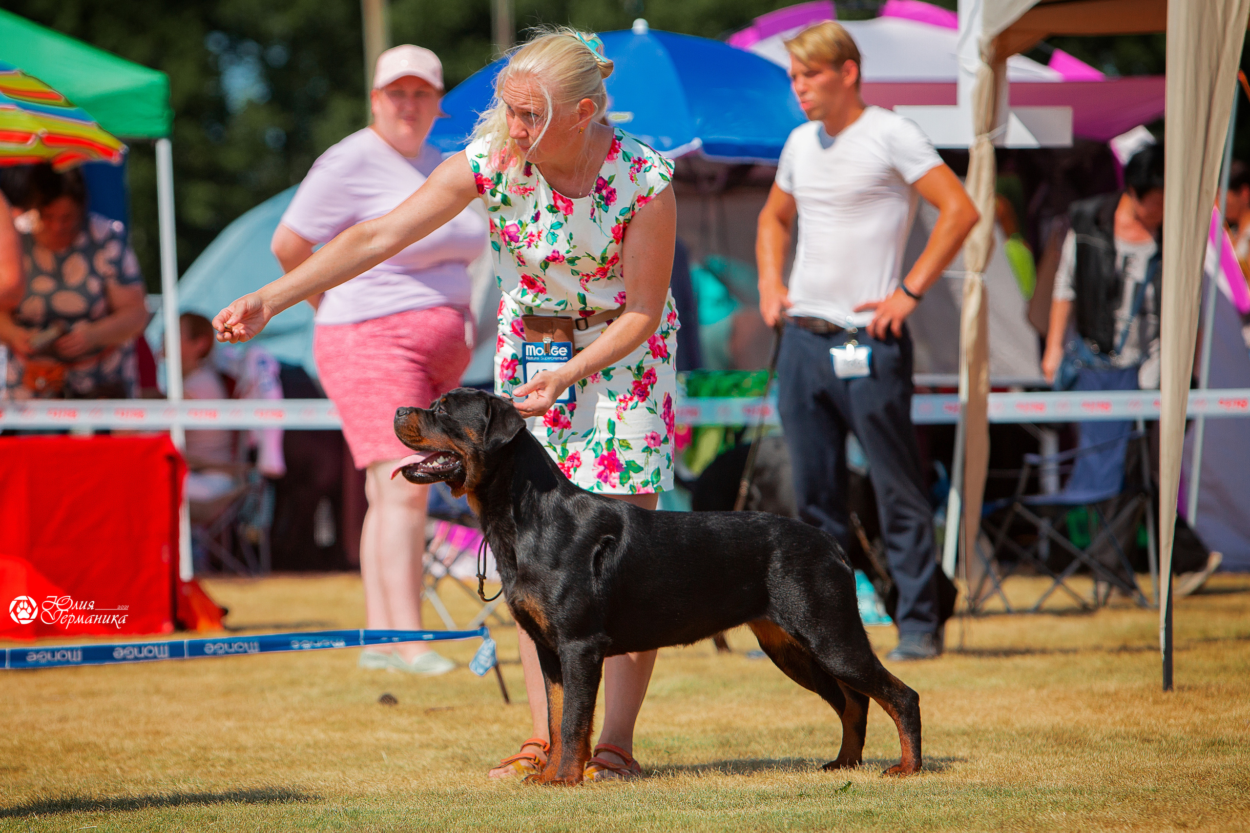 Ярославль CACIB 18 июля 2021. Фотограф-анималист Юлия Германика