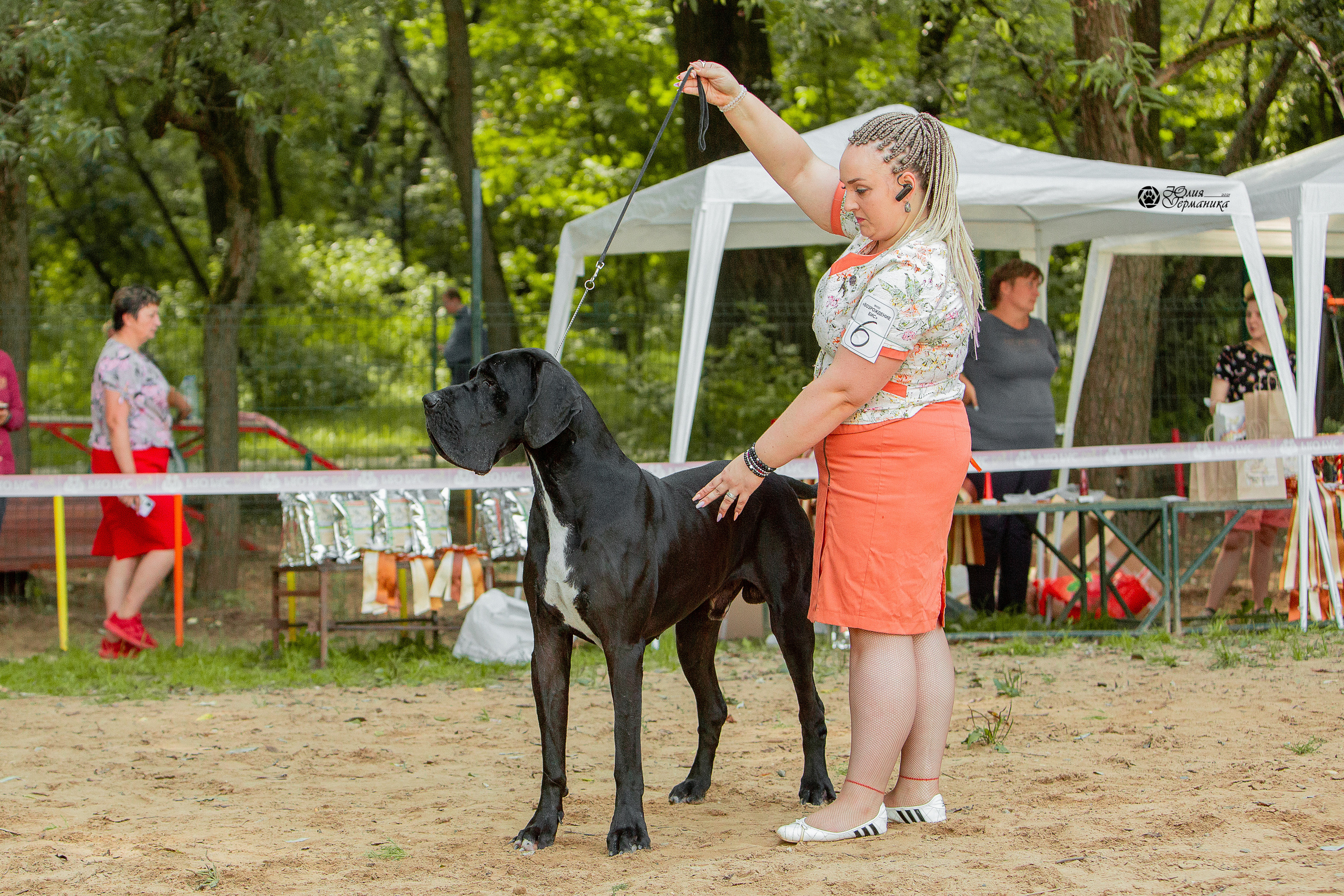 Ховрино фестиваль монопородок 15 августа 2021. Фотограф-анималист Юлия Германика