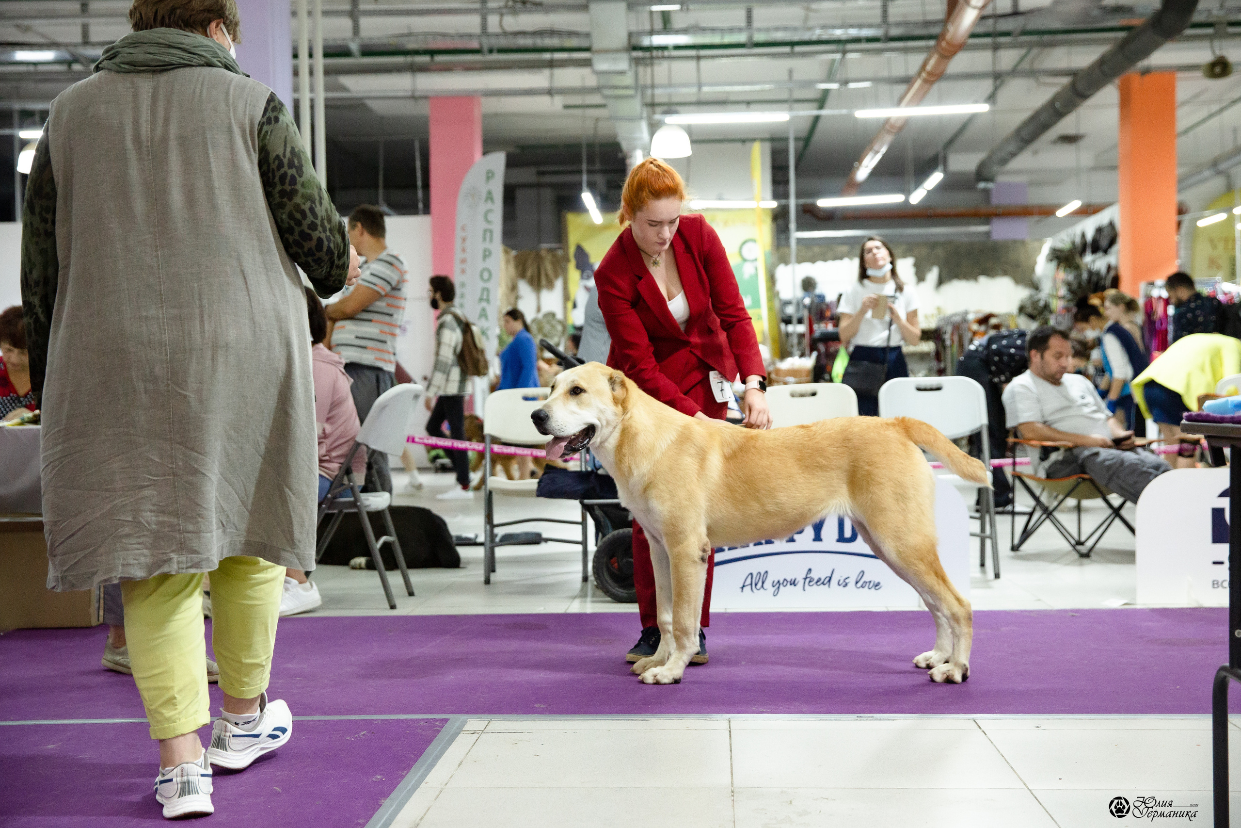 Чайна-Таун 2021. Фотограф-анималист Юлия Германика