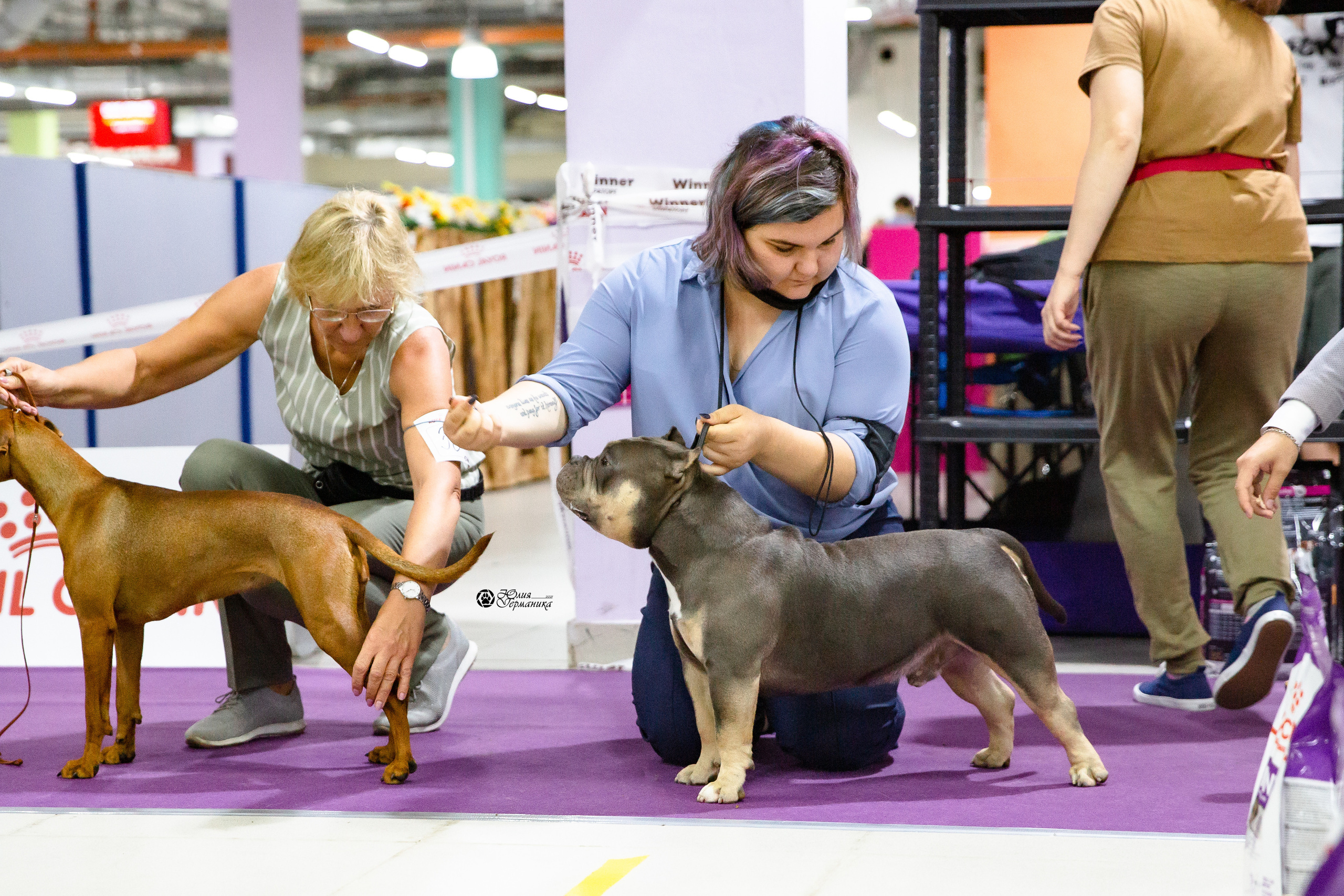 Чайна-Таун 2021. Фотограф-анималист Юлия Германика