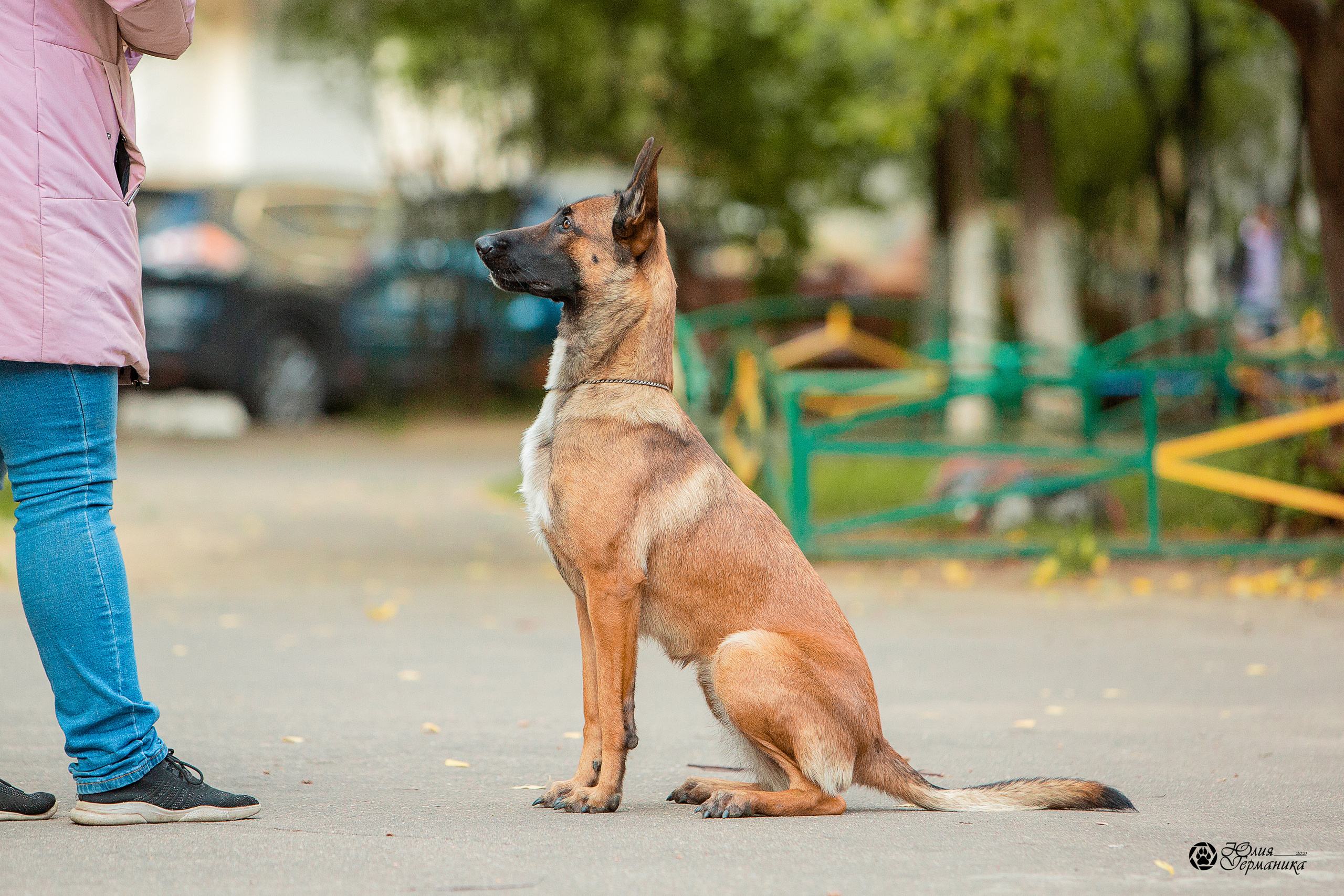 Свободная съемка. Фотограф-анималист Юлия Германика