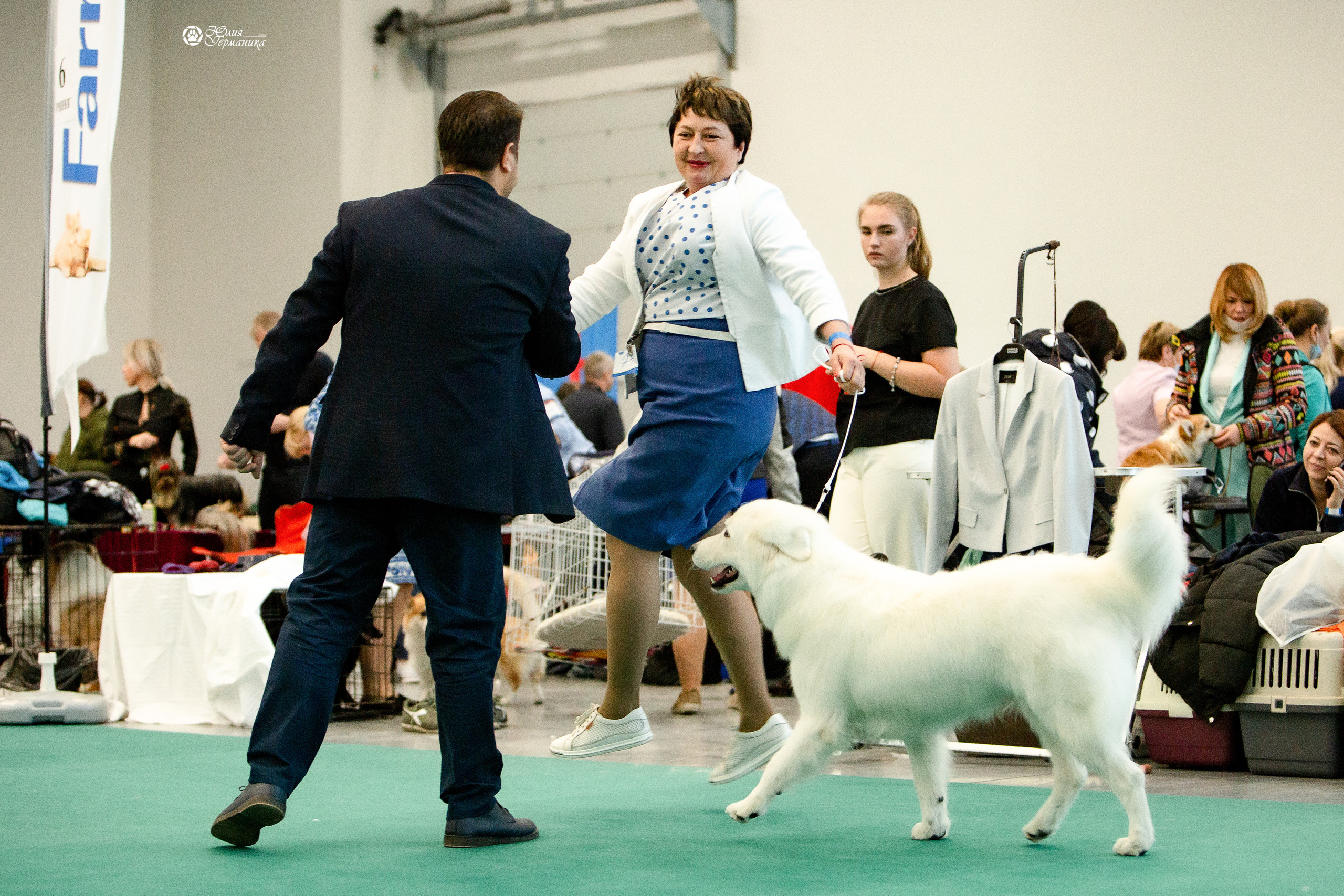Нижний Новгород 3хCACIB 15-17 октября 2021. Фотограф-анималист Юлия Германика