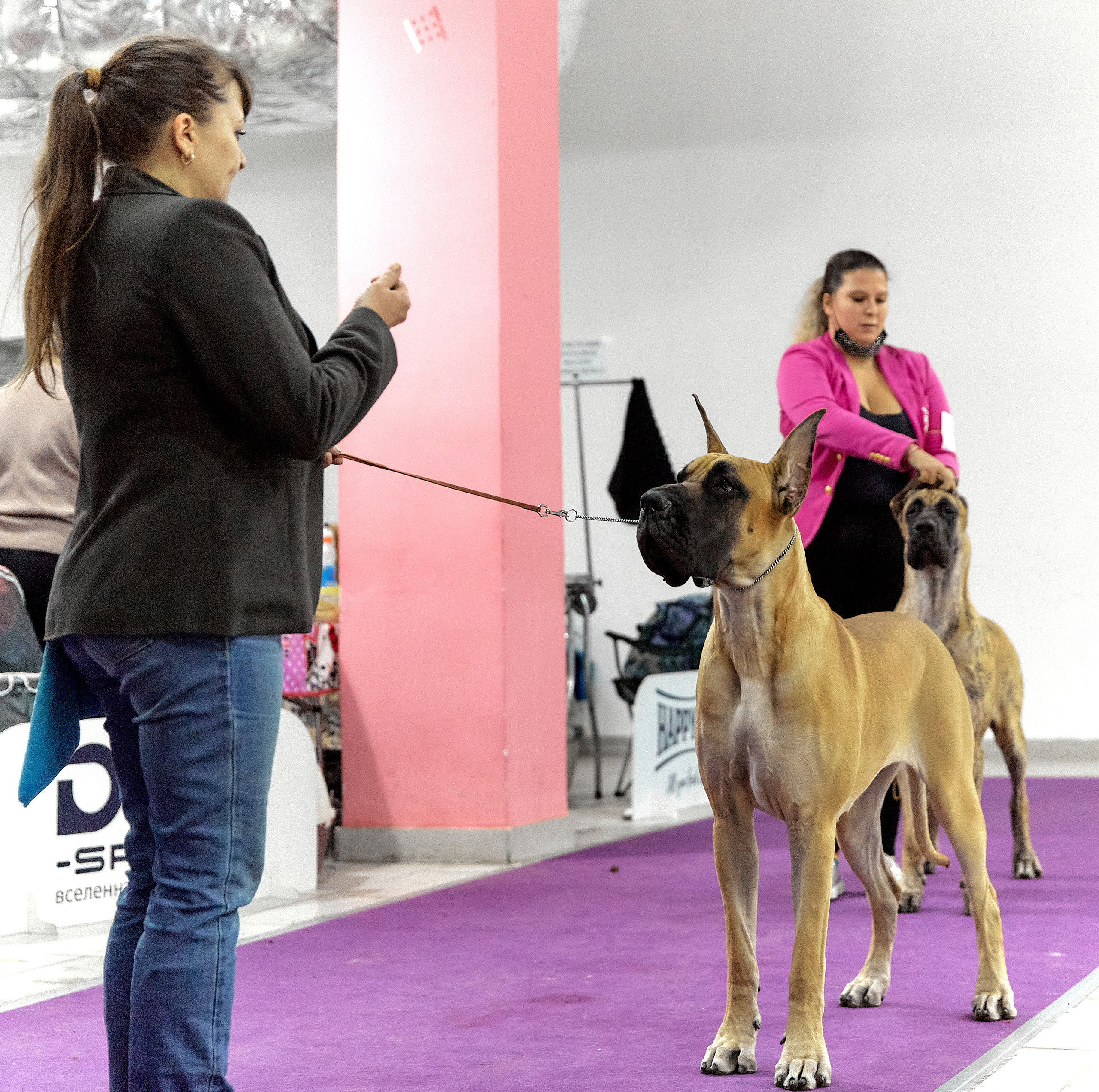 Чайник  13-14 ноября 2021. Фотограф-анималист Юлия Германика