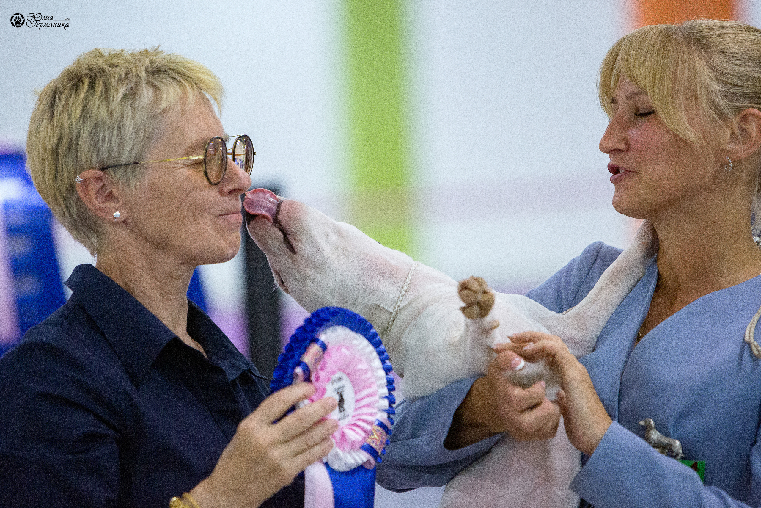 Чайна-Таун 2021. Фотограф-анималист Юлия Германика