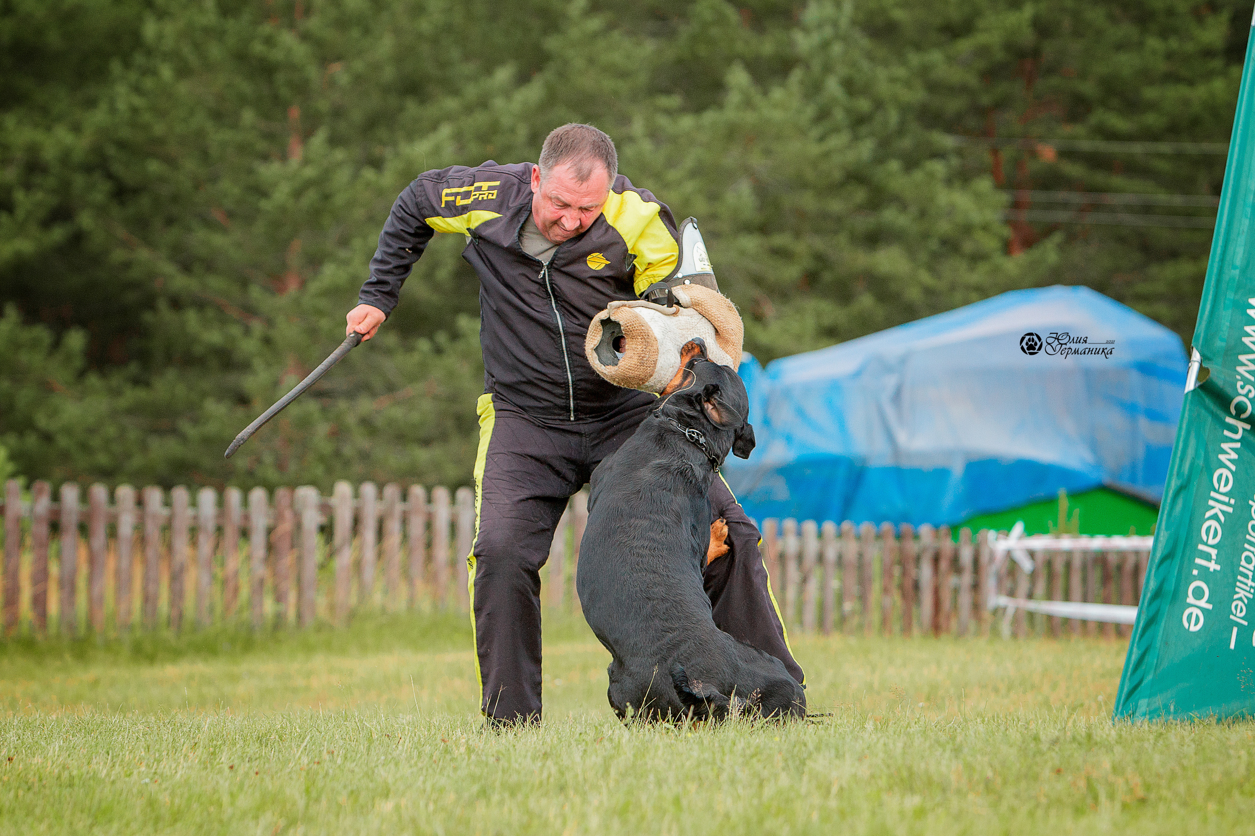 Тверь моно ротвейлеров 3-4 июля 2021. Фотограф-анималист Юлия Германика