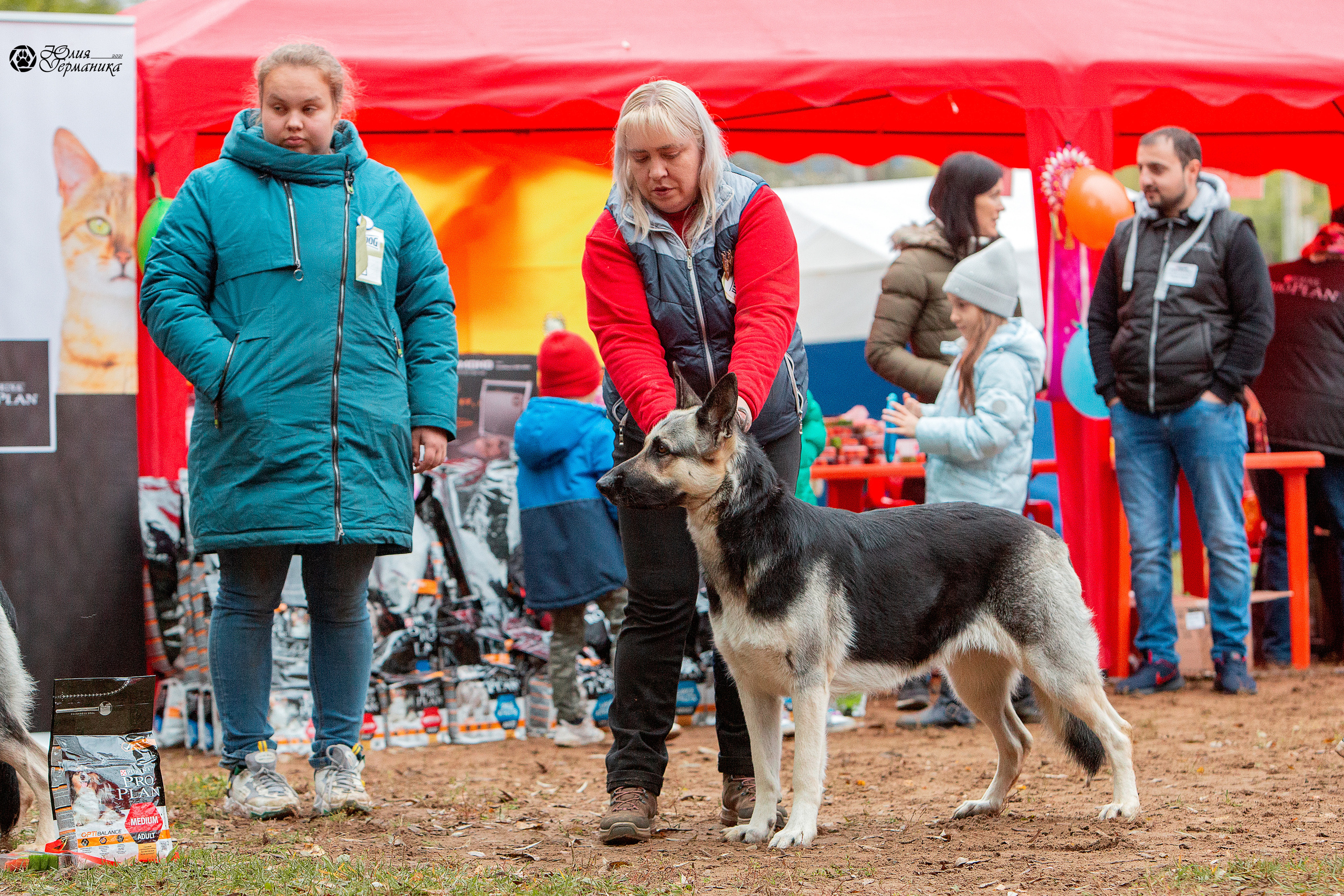 Сокольники 25 сентября Моно ВЕО Моншер Версаль. Фотограф-анималист Юлия Германика