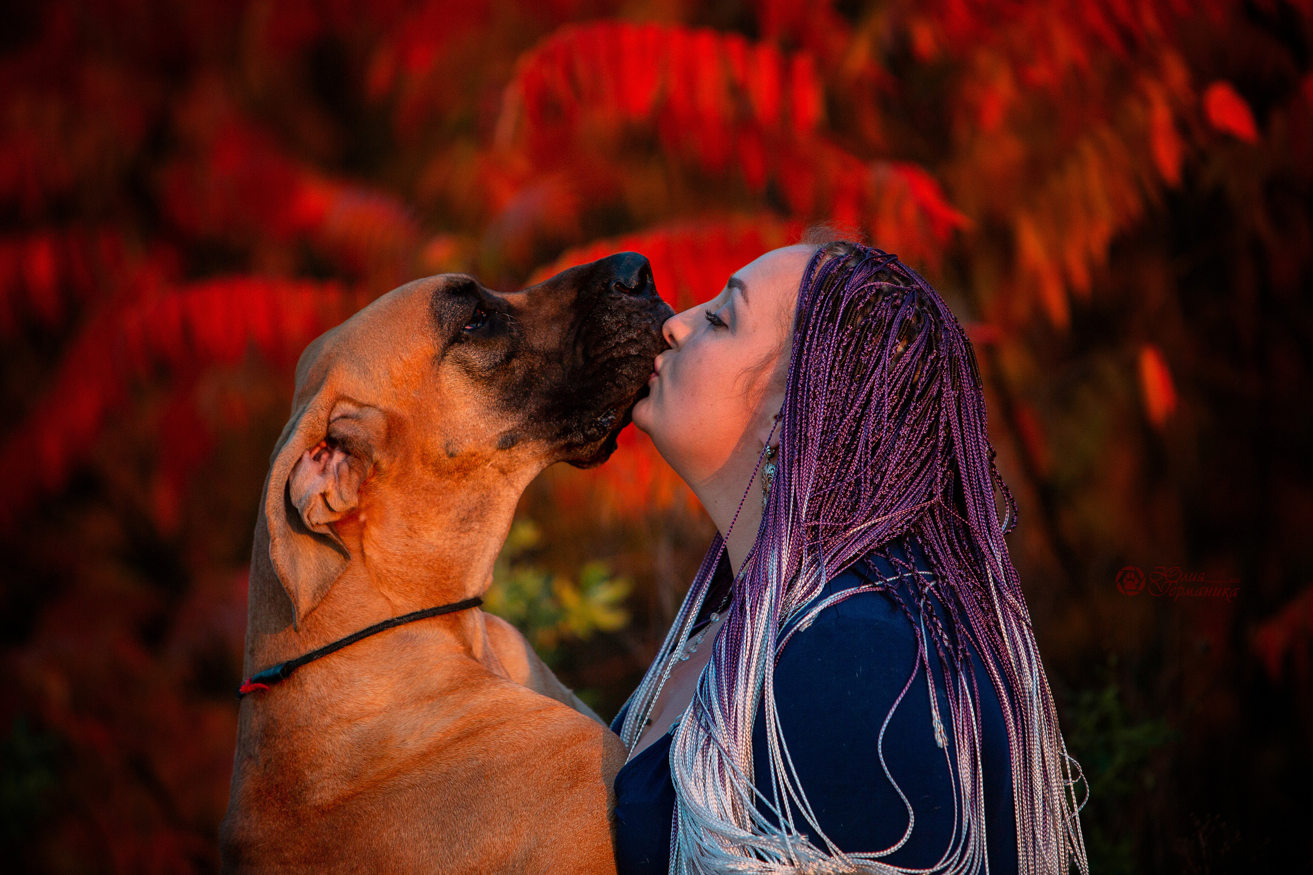 Свободная съемка. Фотограф-анималист Юлия Германика