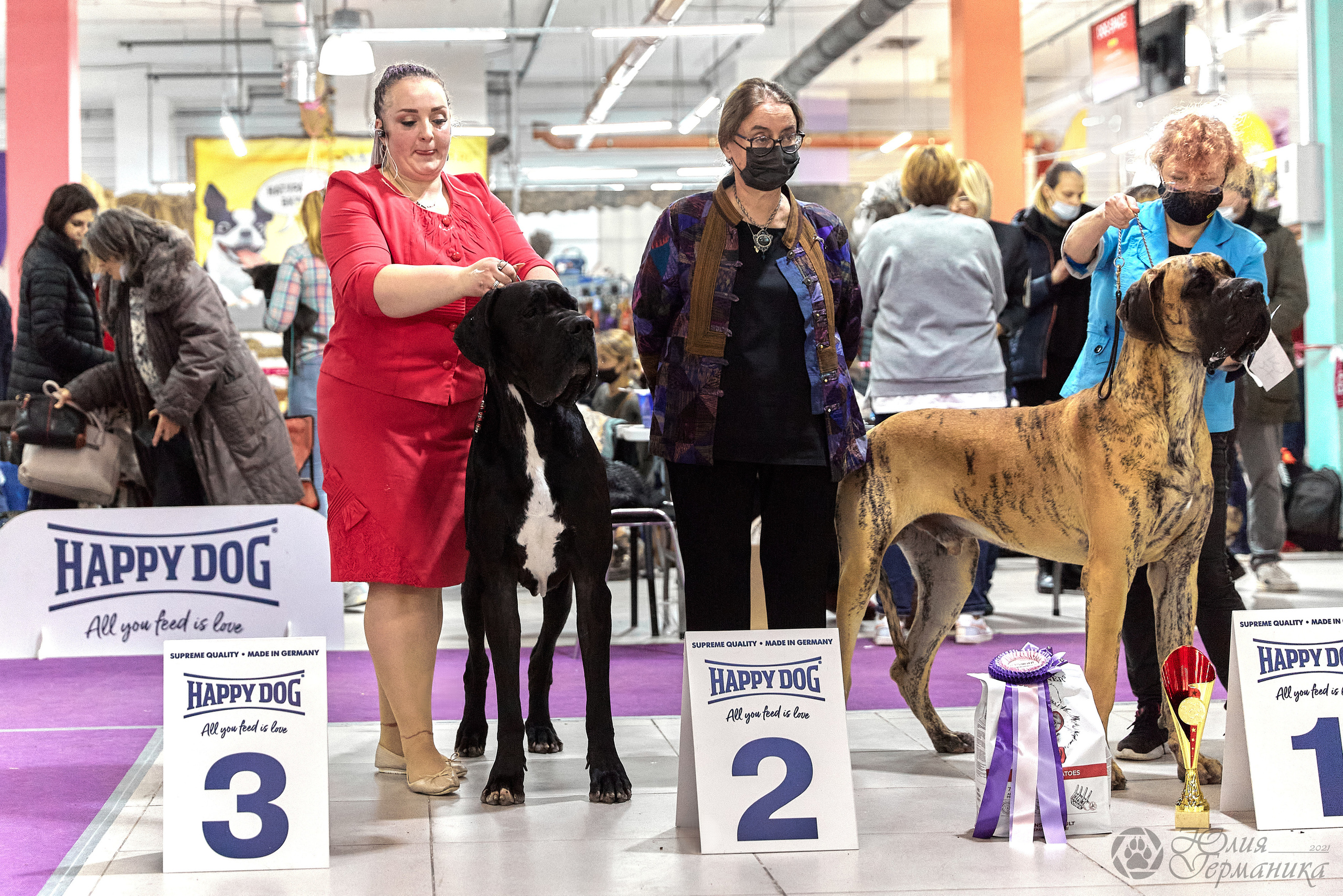 Чайник  13-14 ноября 2021. Фотограф-анималист Юлия Германика