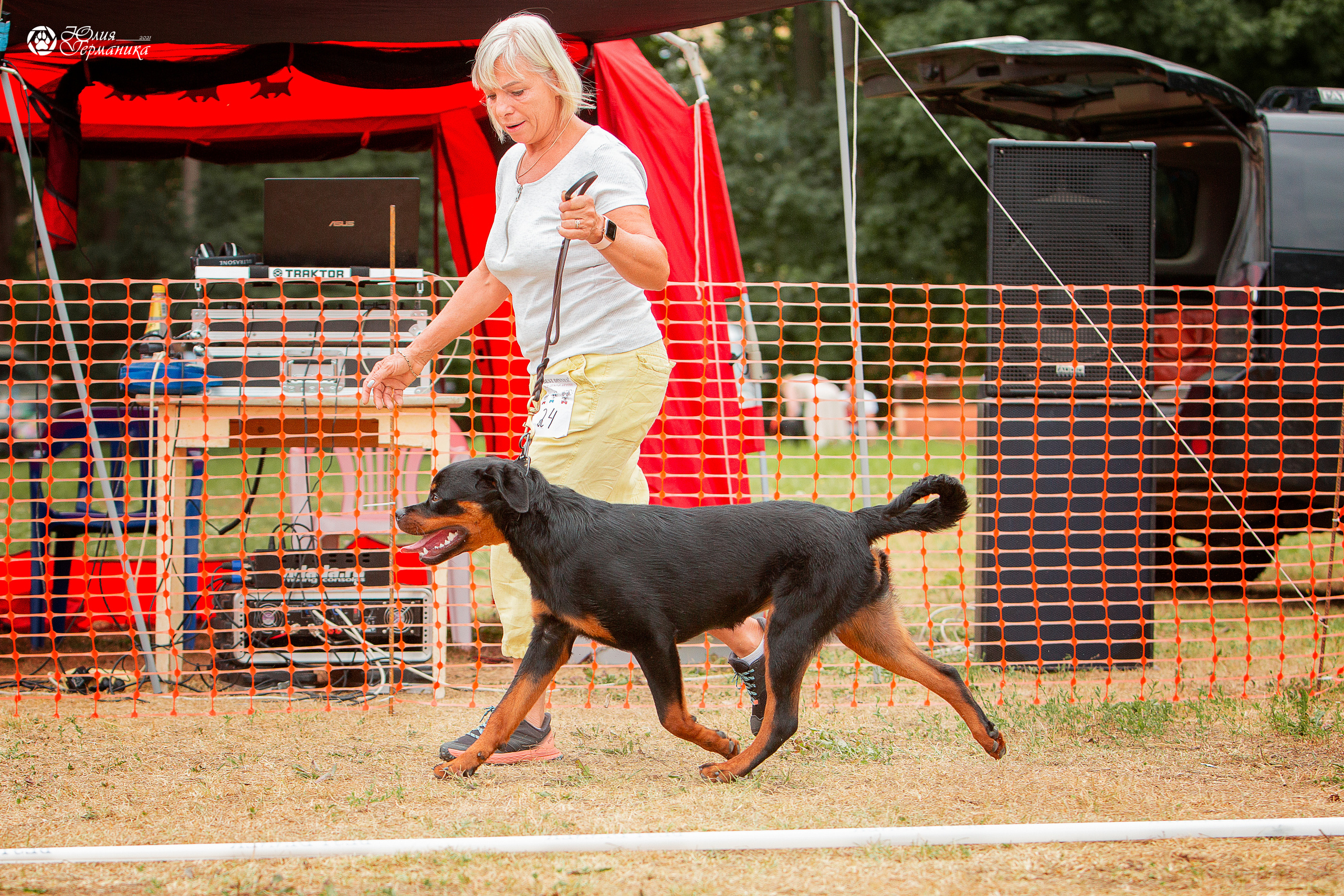 Монопородная выставка ротвейлеров Питер. Фотограф-анималист Юлия Германика