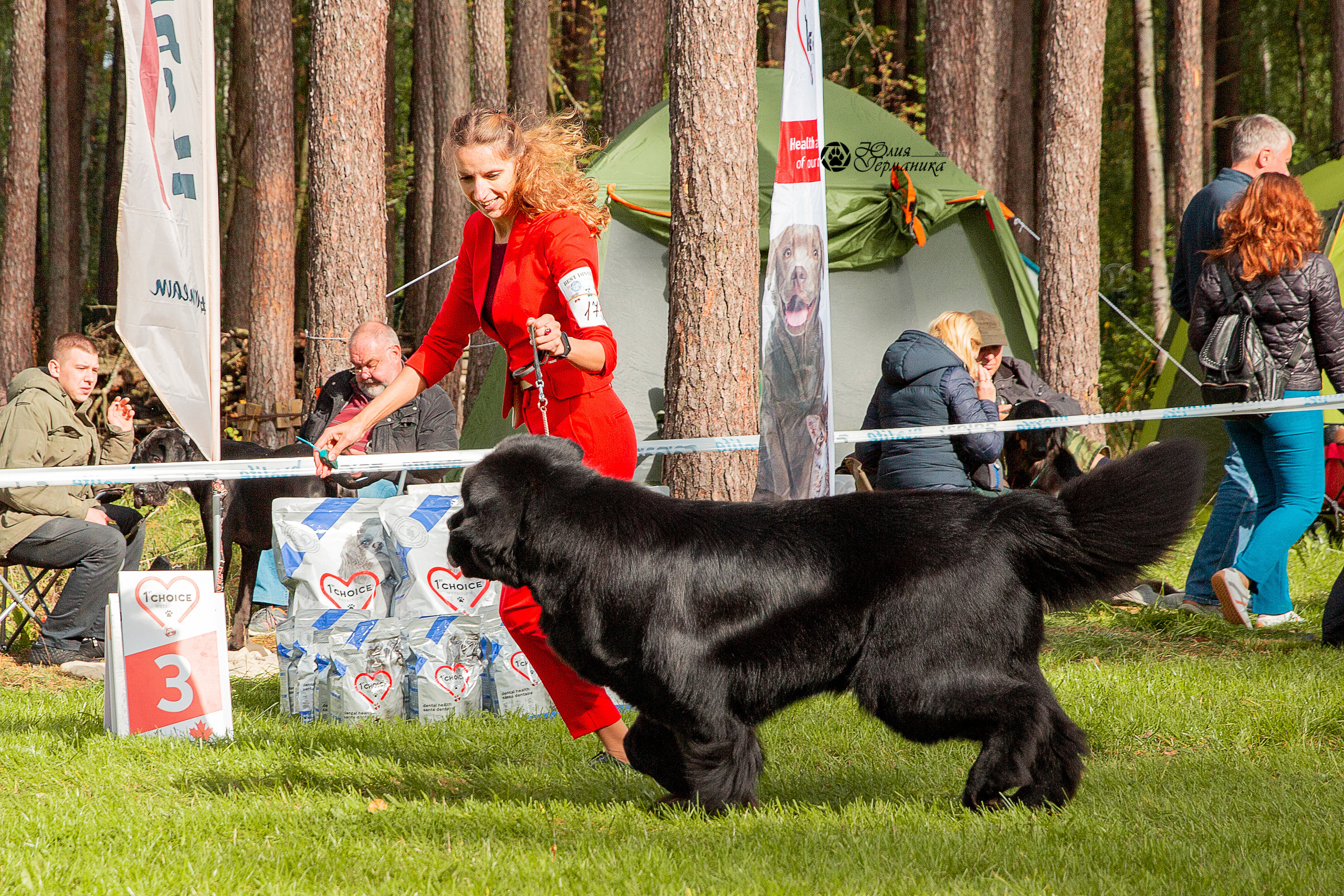 Псков 2xСАСIB 18-19 сентября 2021. Фотограф-анималист Юлия Германика