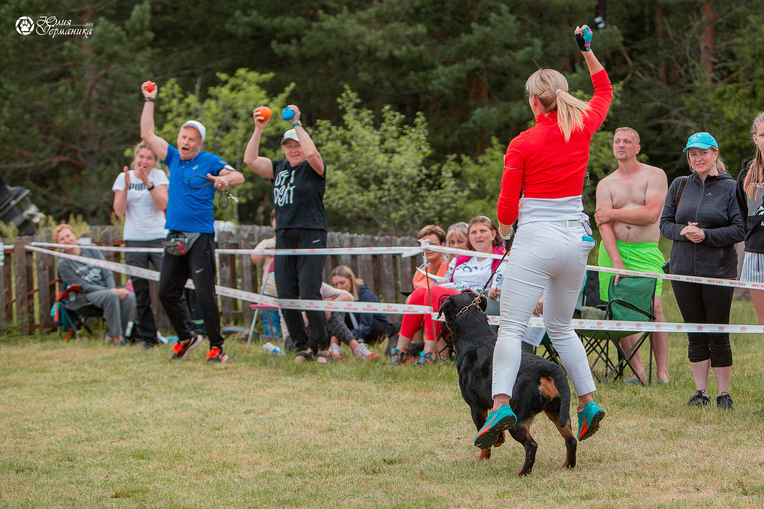 Тверь моно ротвейлеров 3-4 июля 2021. Фотограф-анималист Юлия Германика