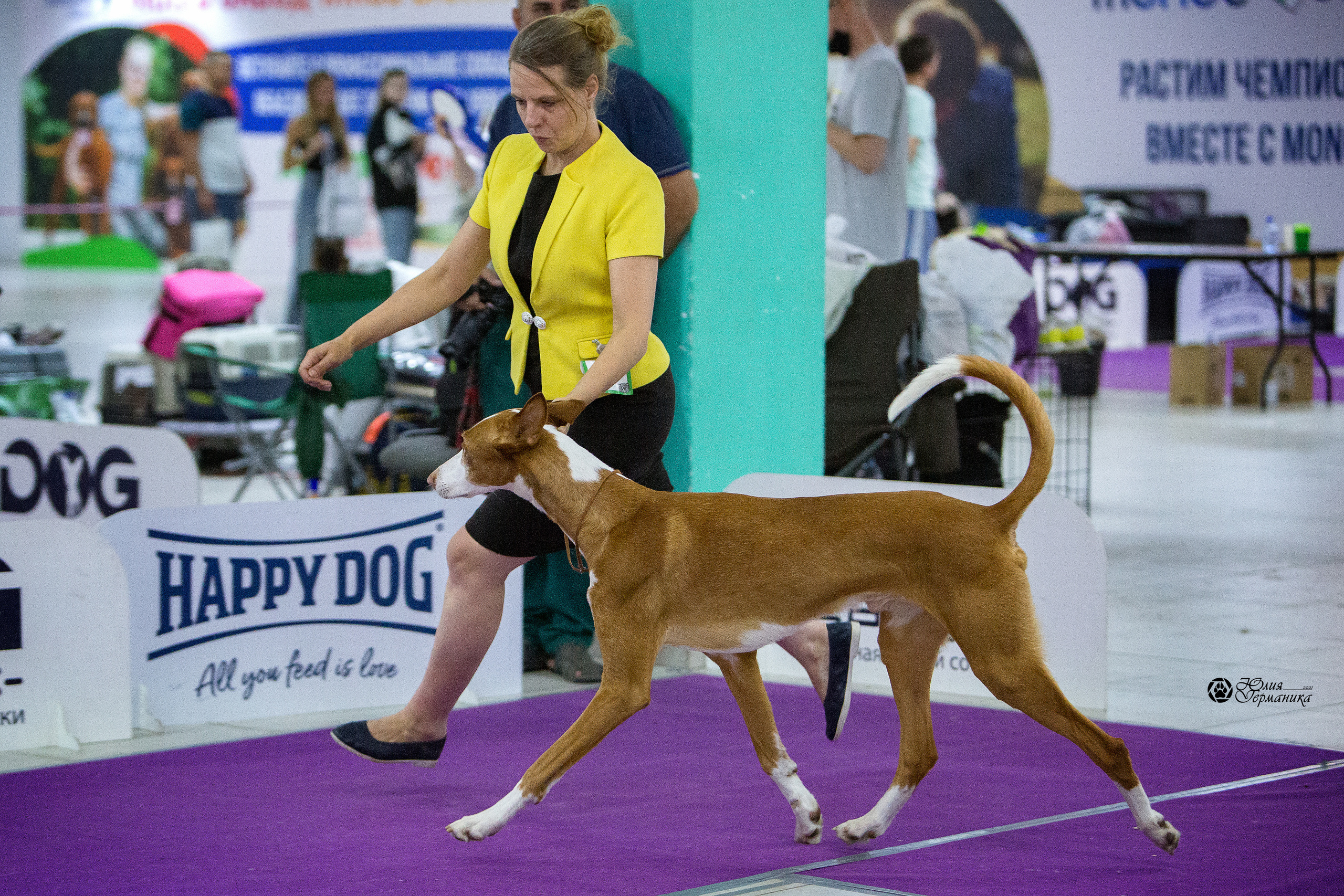 Чайна-Таун 2021. Фотограф-анималист Юлия Германика