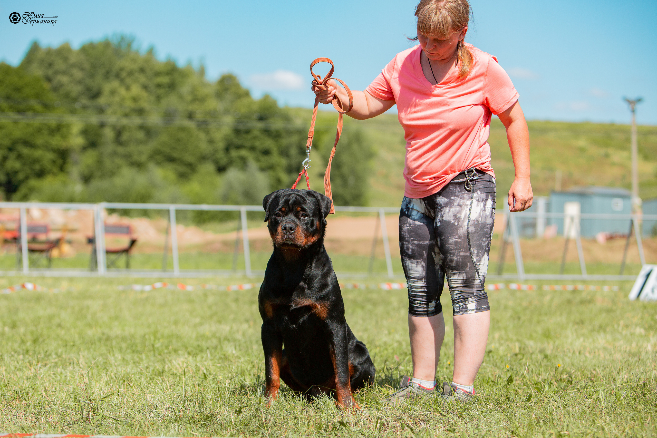 Рязань,Ховрино 14-15 августа 2021 моно ротвейлеров. Фотограф-анималист Юлия Германика