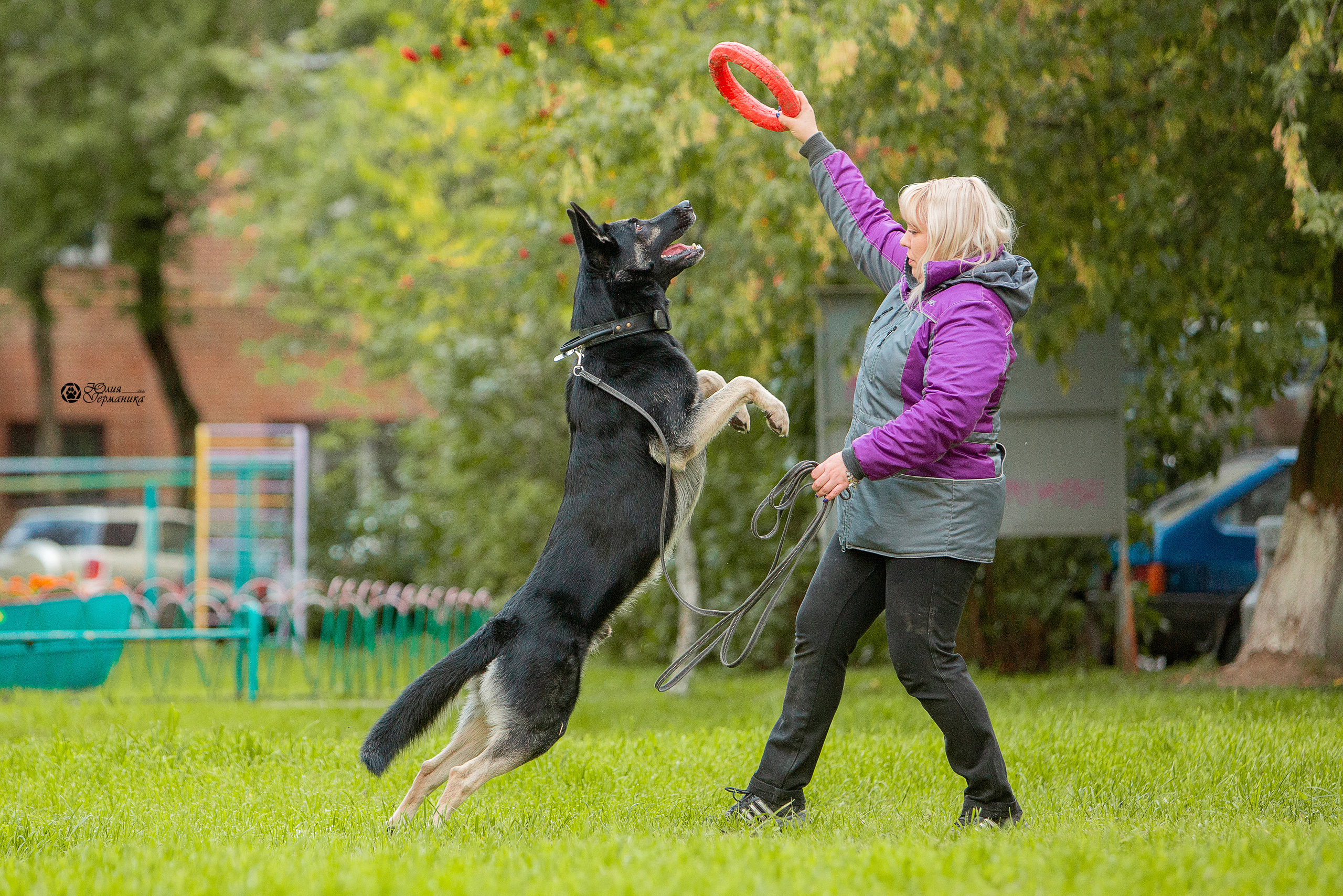 Свободная съемка. Фотограф-анималист Юлия Германика
