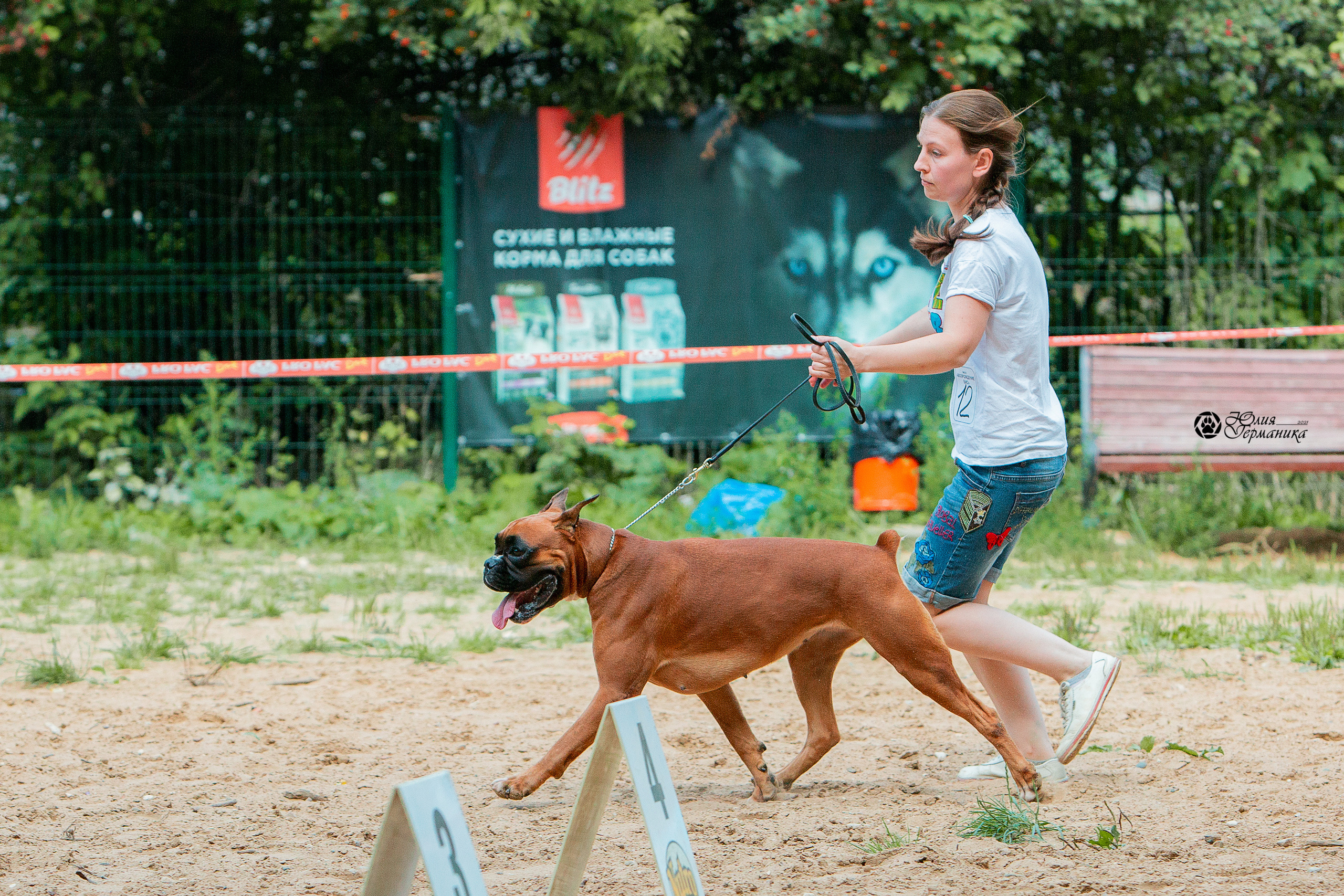 Ховрино фестиваль монопородок 15 августа 2021. Фотограф-анималист Юлия Германика