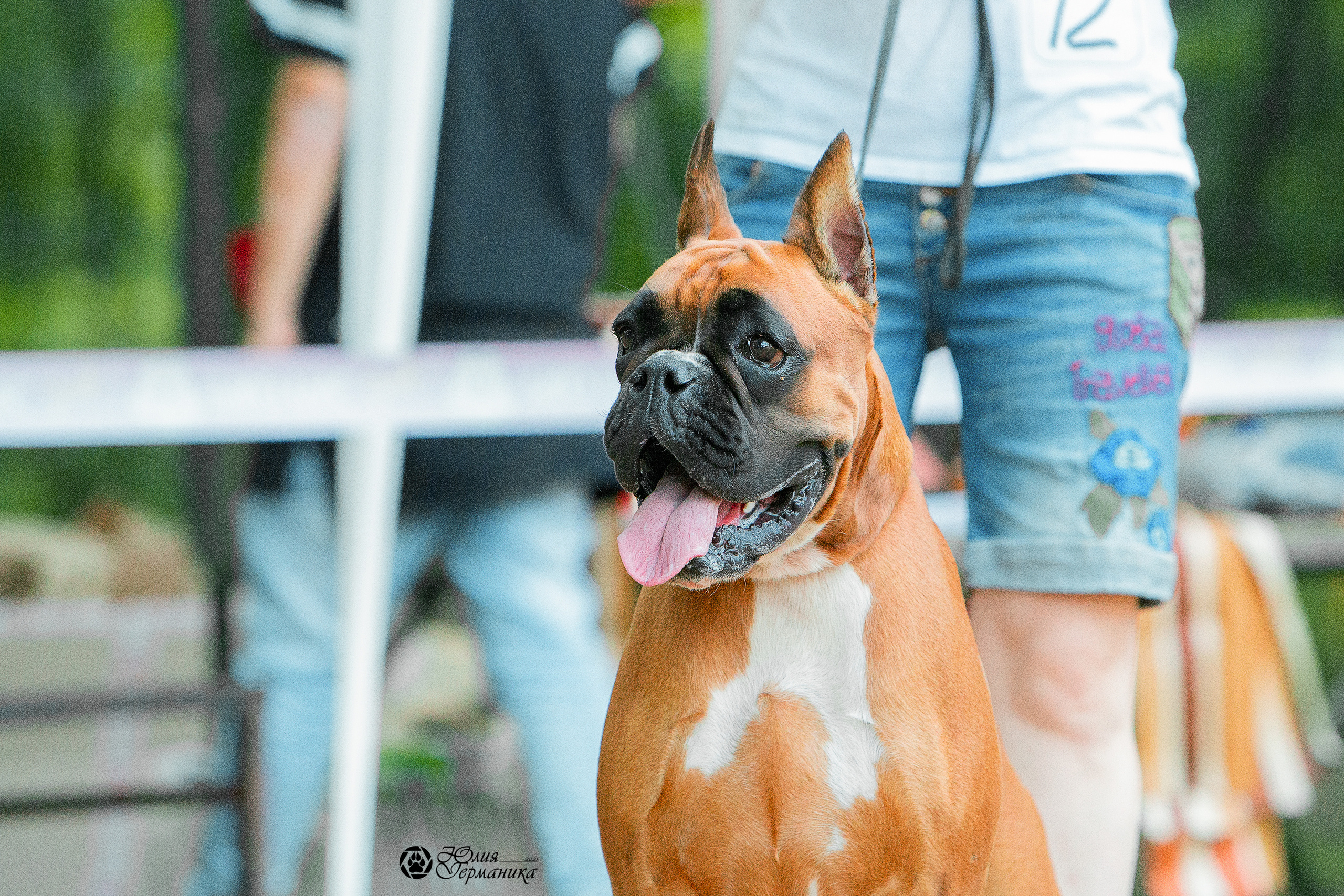 Ховрино фестиваль монопородок 15 августа 2021. Фотограф-анималист Юлия Германика