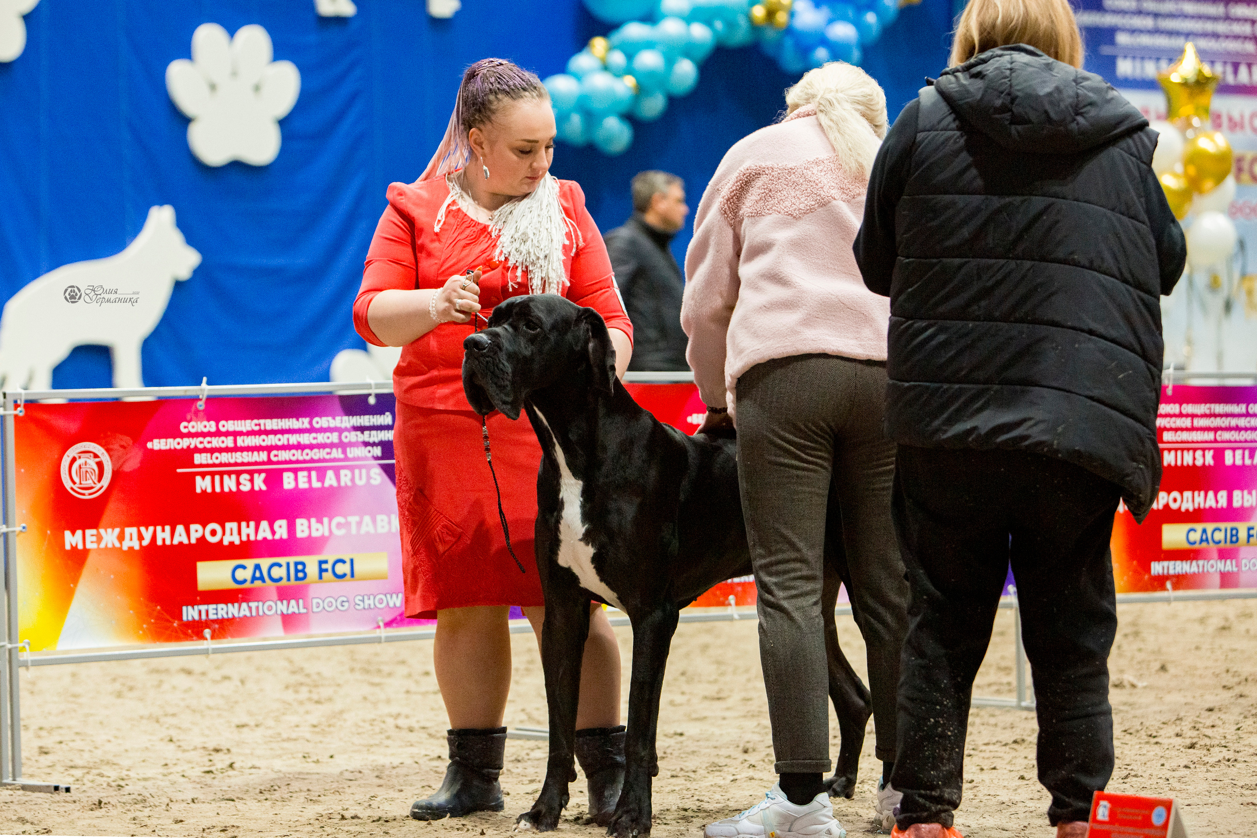 Минск 2хCACIB 27-28 ноября 2021. Фотограф-анималист Юлия Германика