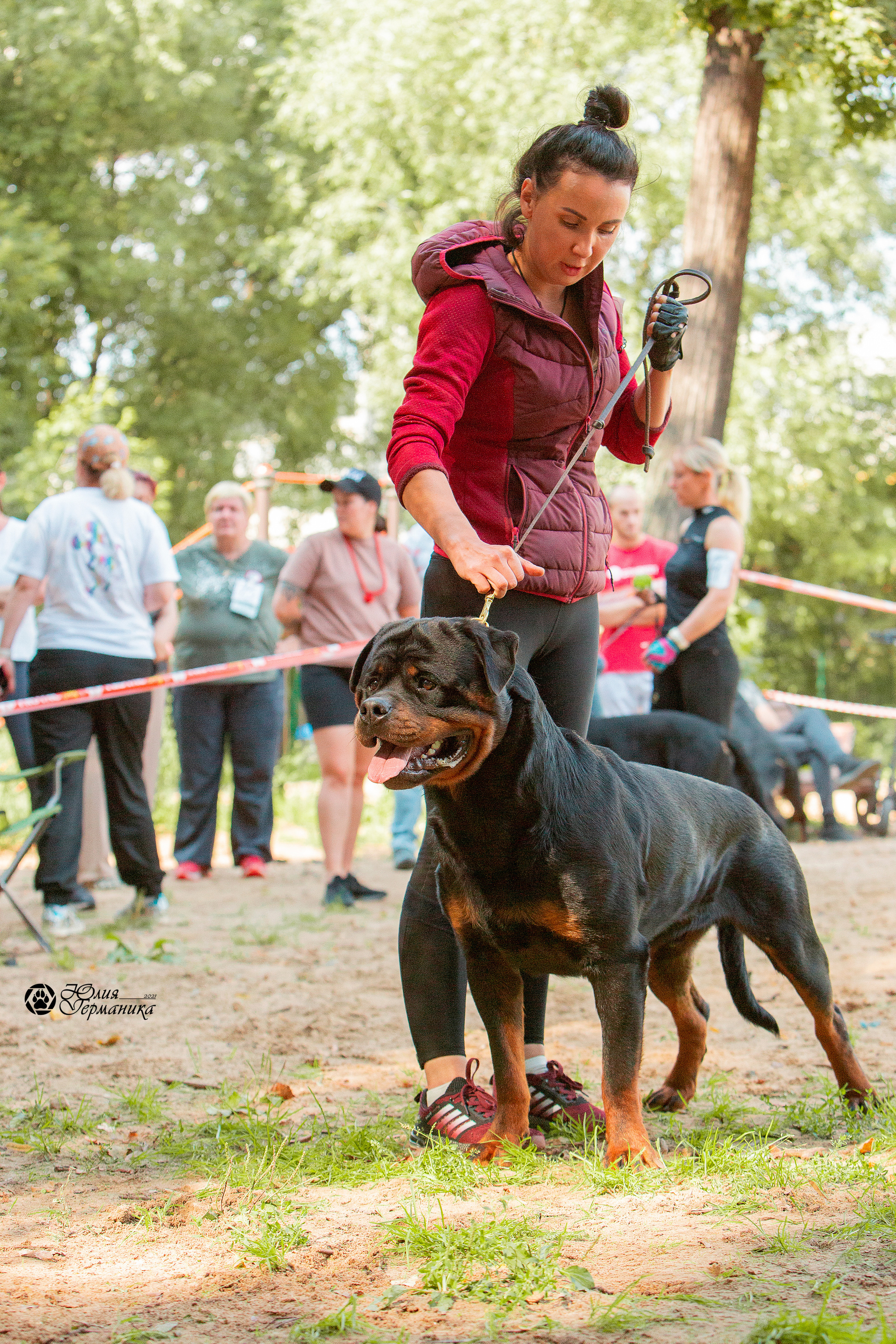 Рязань,Ховрино 14-15 августа 2021 моно ротвейлеров. Фотограф-анималист Юлия Германика