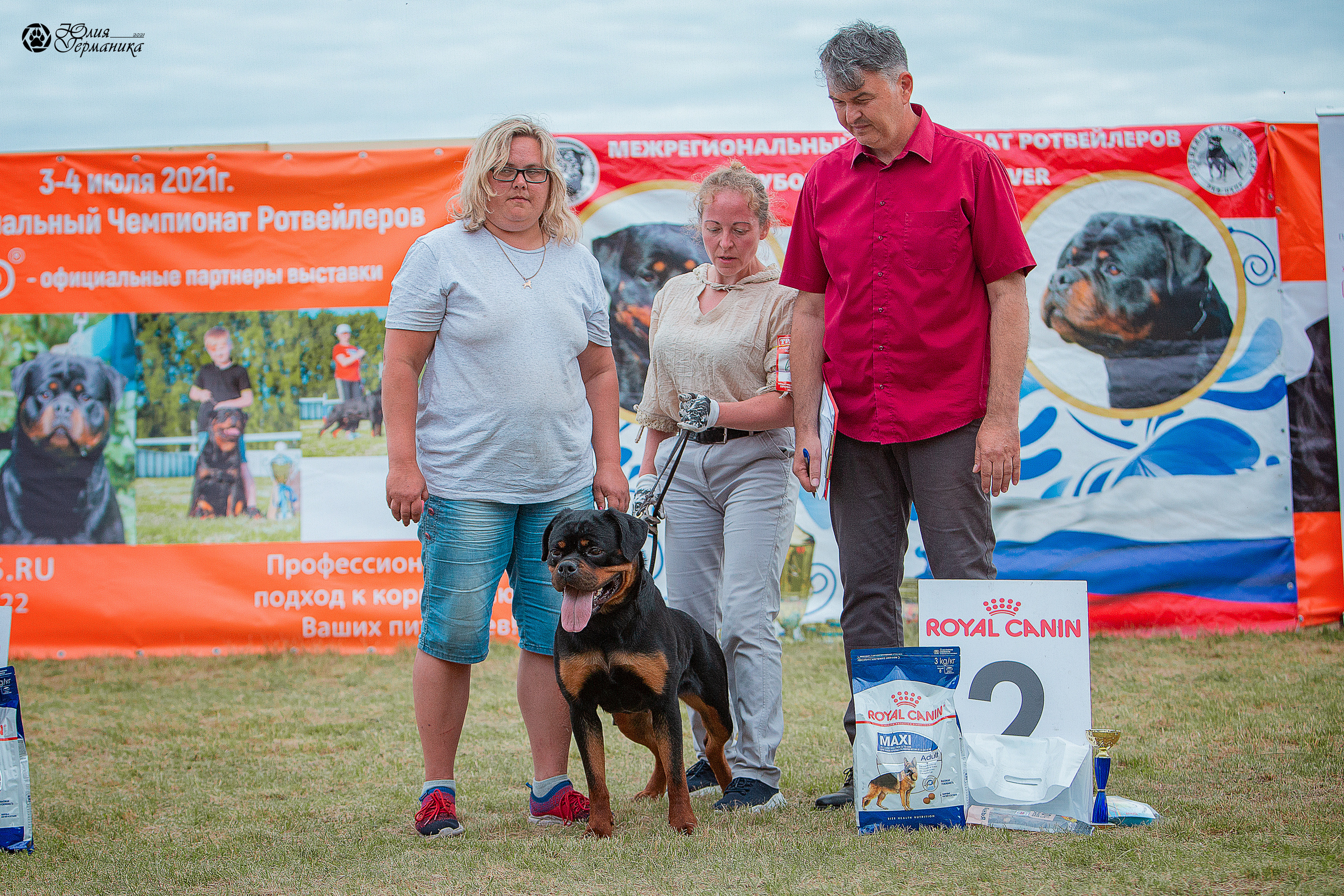 Тверь моно ротвейлеров 3-4 июля 2021. Фотограф-анималист Юлия Германика