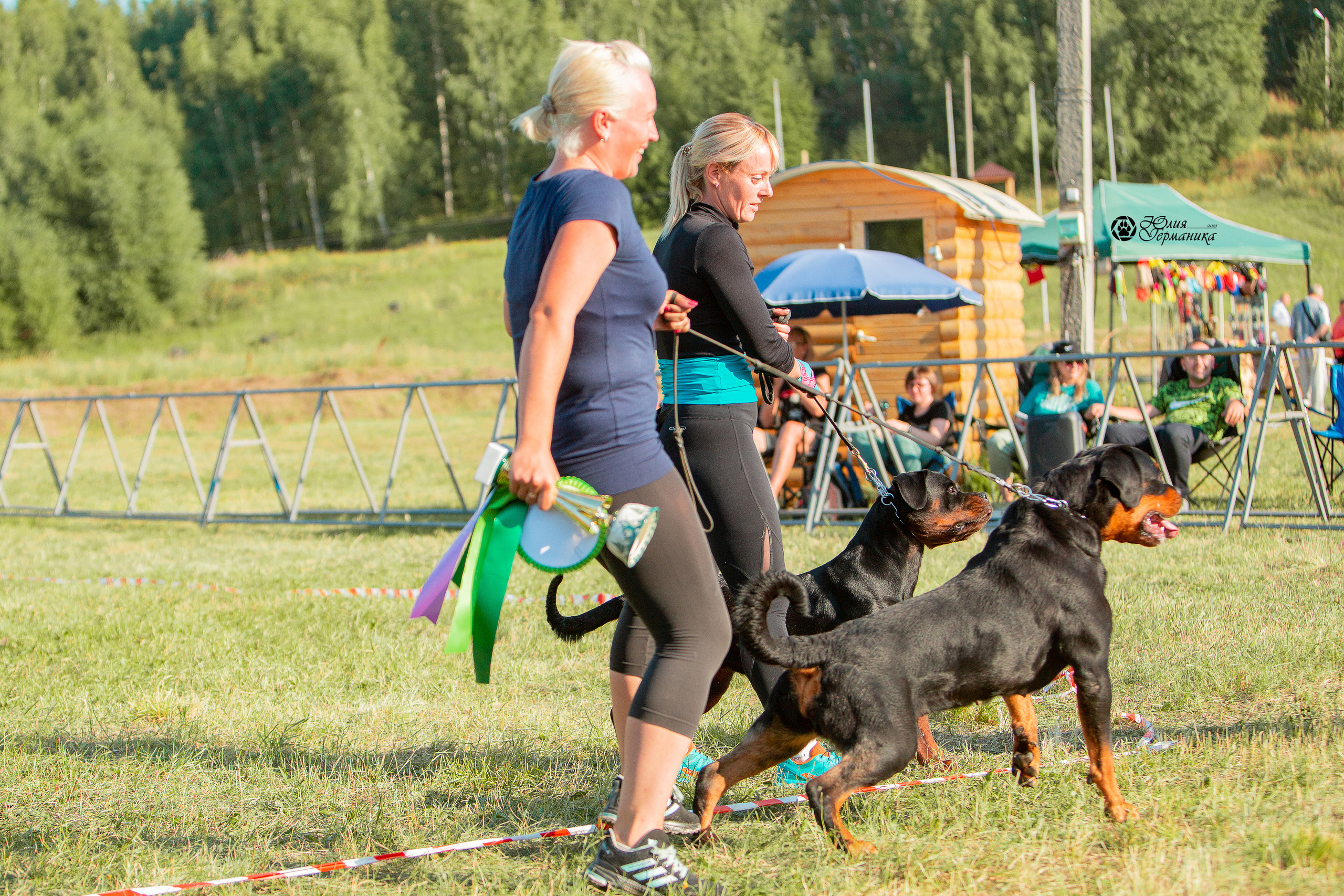 Рязань,Ховрино 14-15 августа 2021 моно ротвейлеров. Фотограф-анималист Юлия Германика