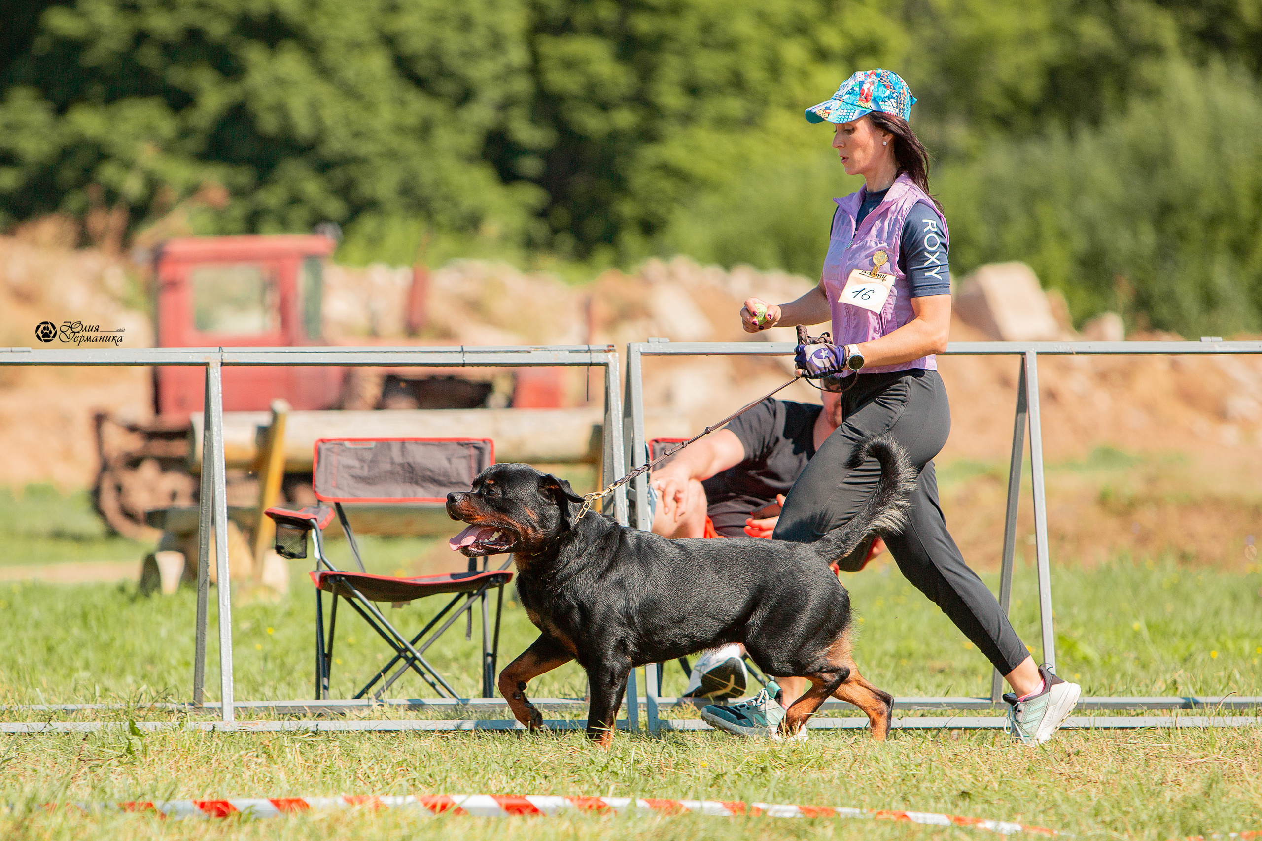 Рязань,Ховрино 14-15 августа 2021 моно ротвейлеров. Фотограф-анималист Юлия Германика