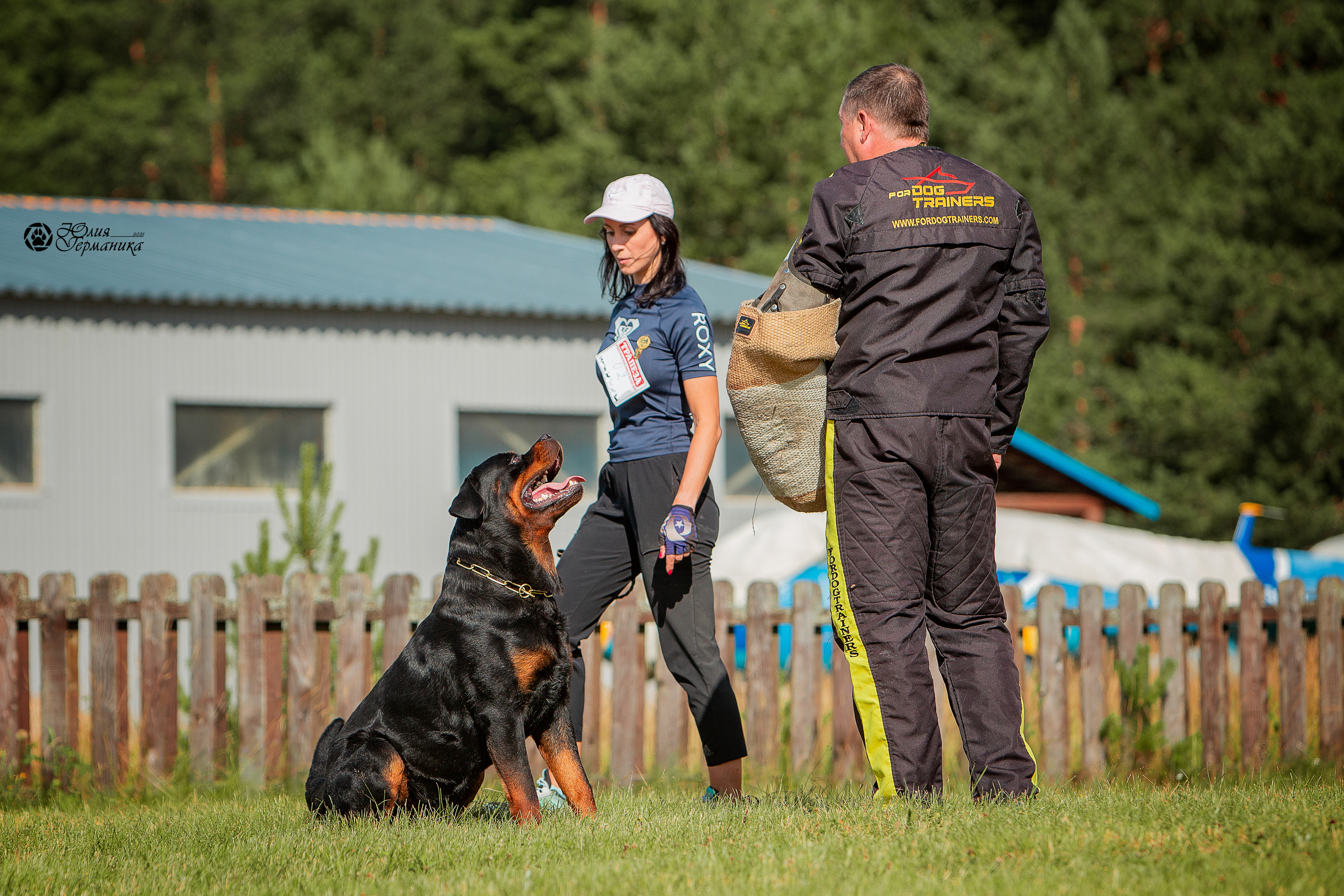 Тверь моно ротвейлеров 3-4 июля 2021. Фотограф-анималист Юлия Германика