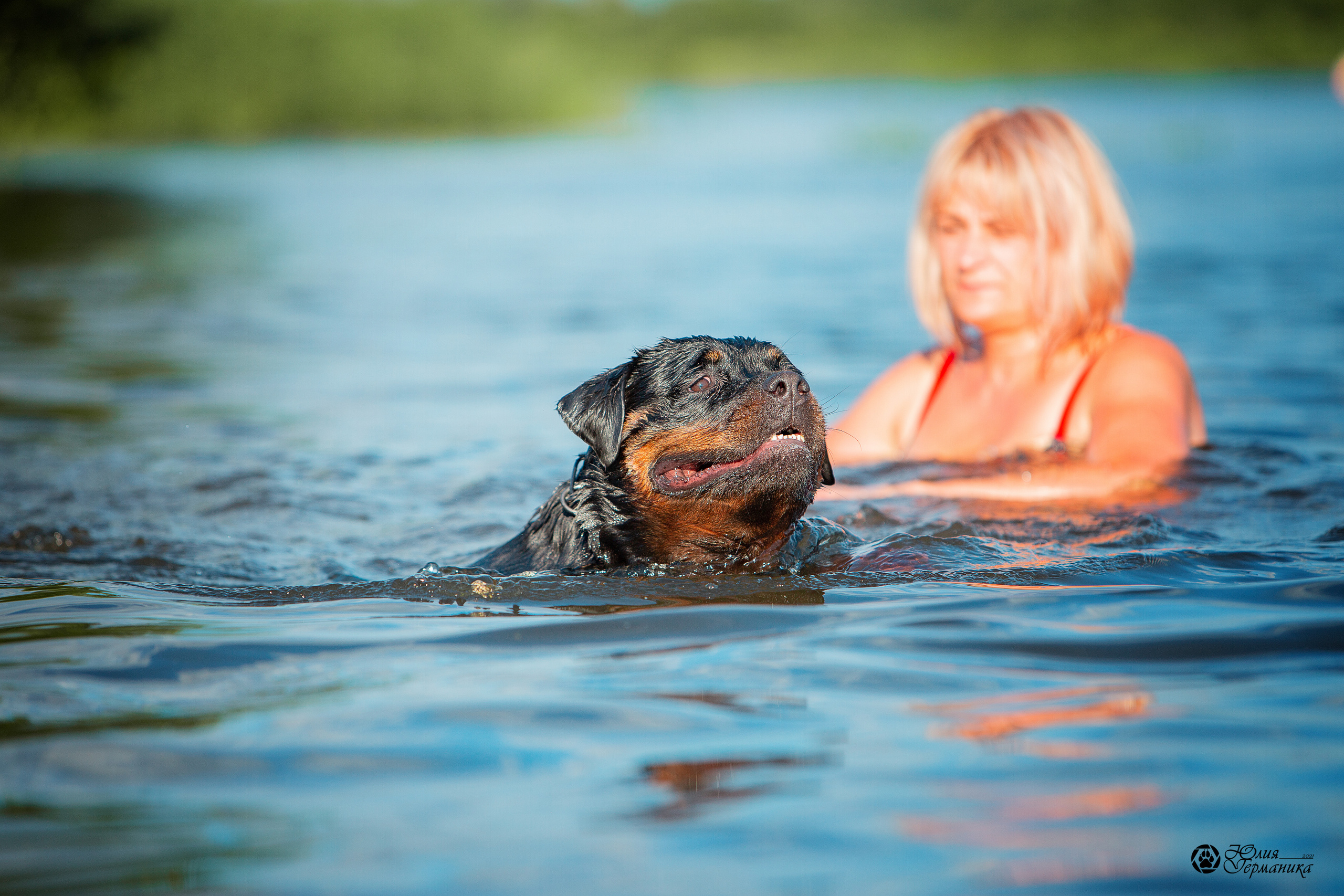 Свободная съемка. Фотограф-анималист Юлия Германика