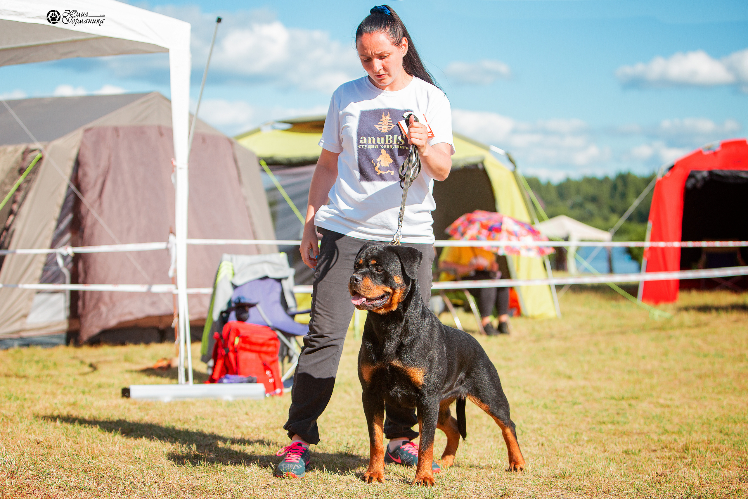 Тверь моно ротвейлеров 3-4 июля 2021. Фотограф-анималист Юлия Германика